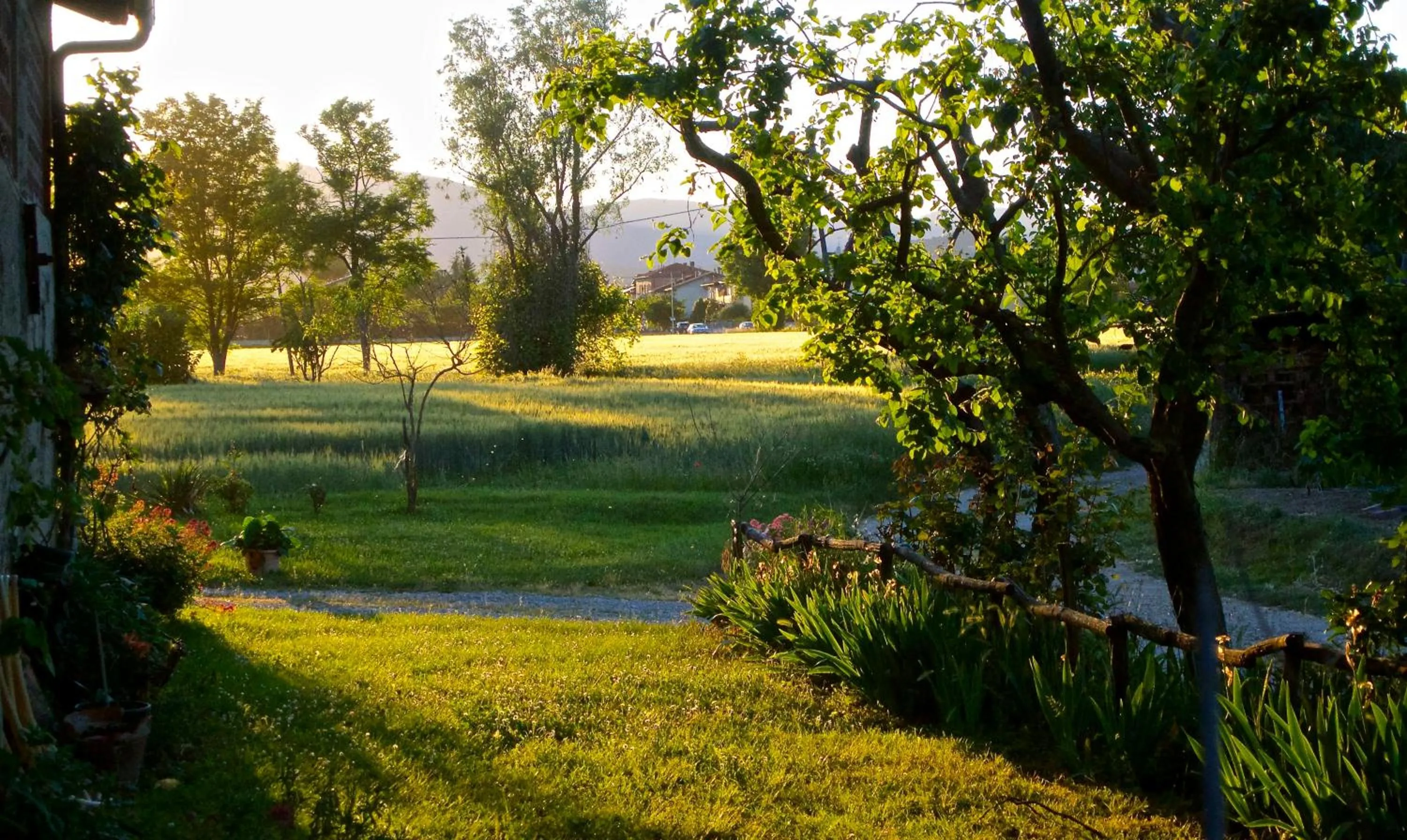 Garden in Casa Donella B&B