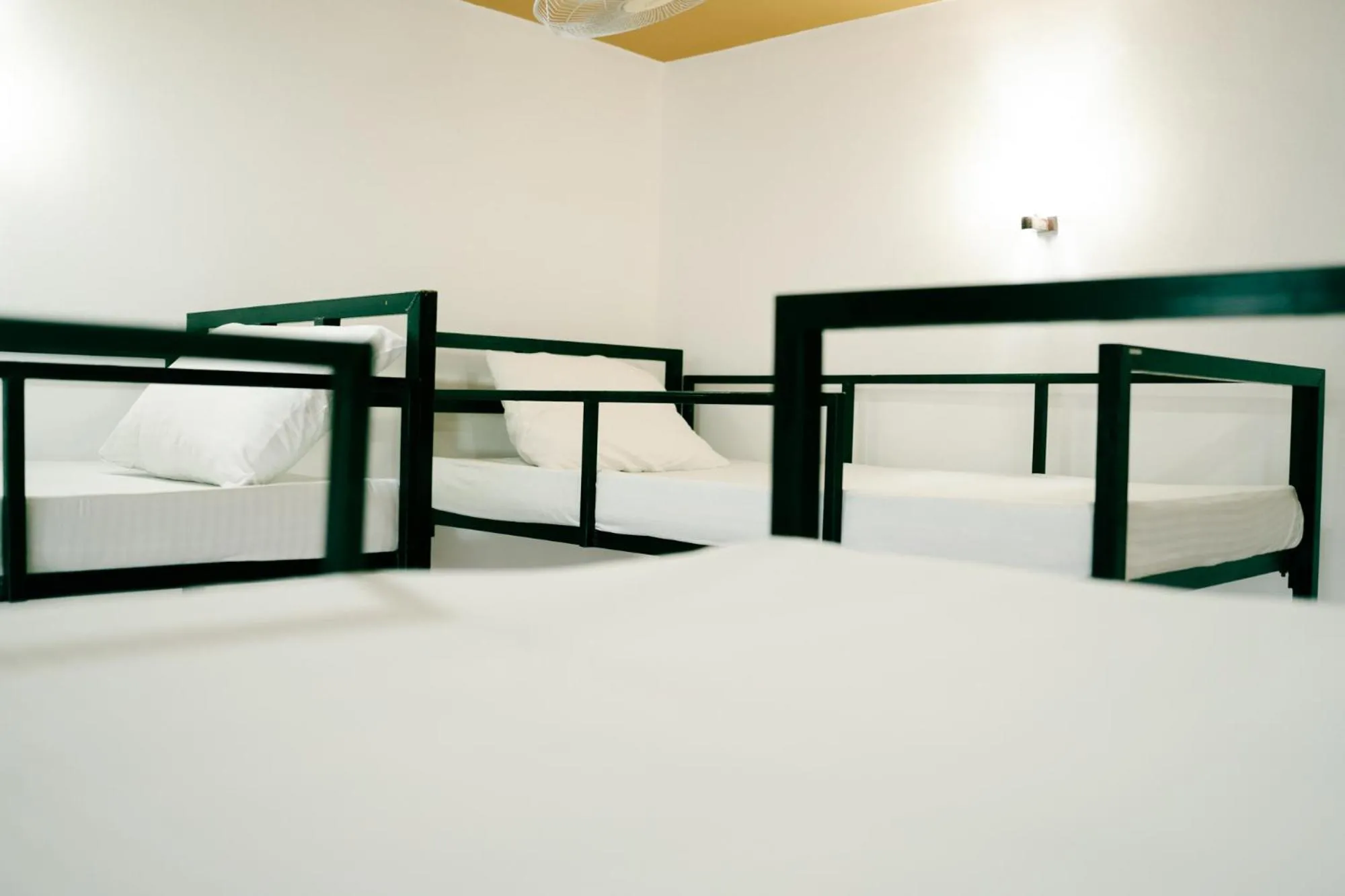 Bed in Havelock City Hostel, Colombo
