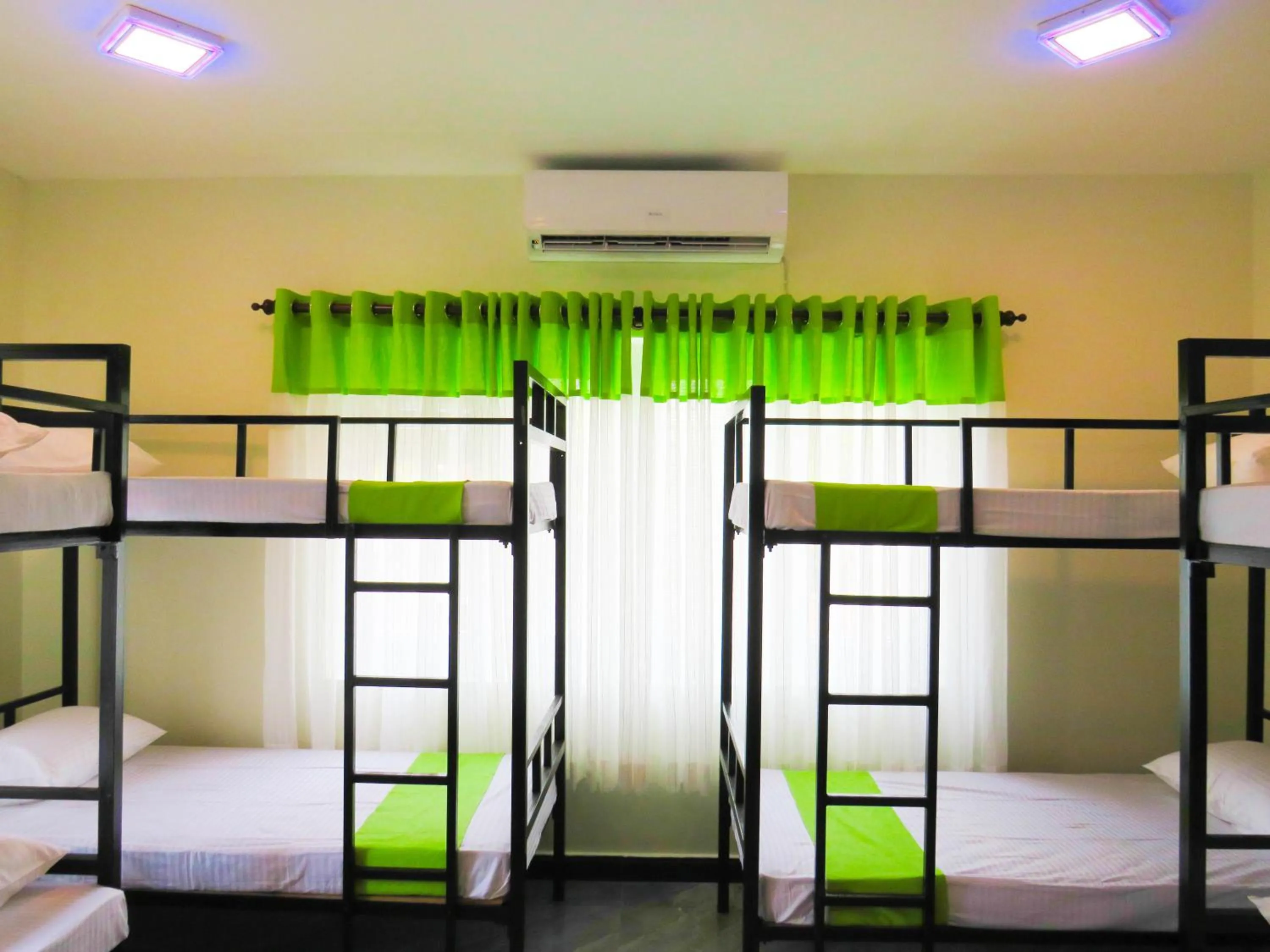 Bunk Bed in Female Dormitory Room   in Havelock City Hostel, Colombo