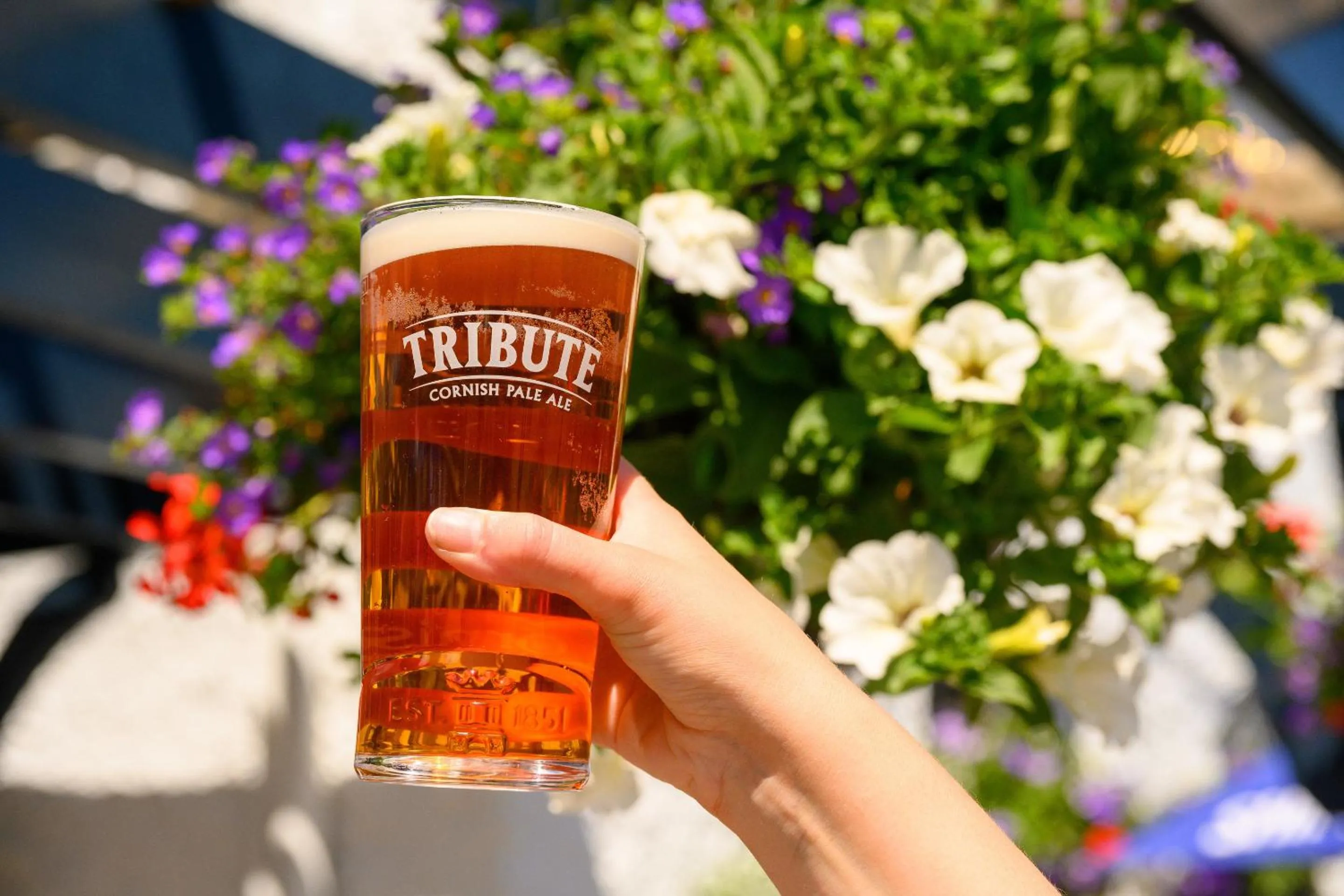 Food and drinks in The Norway Inn