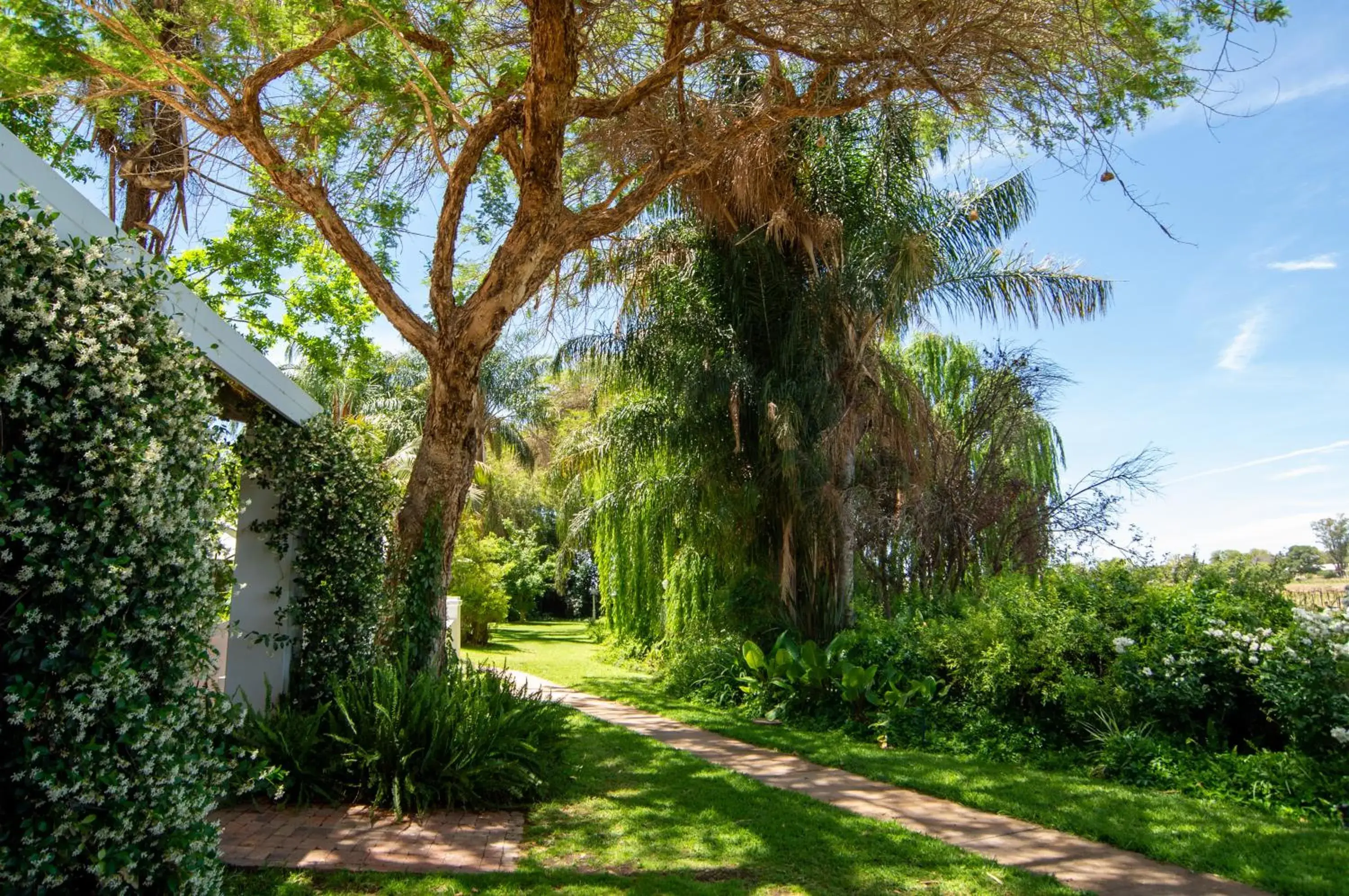 Property building in Upington African Vineyard Boutique Hotel & SPA Property building in Upington African Vineyard Boutique Hotel & SPA