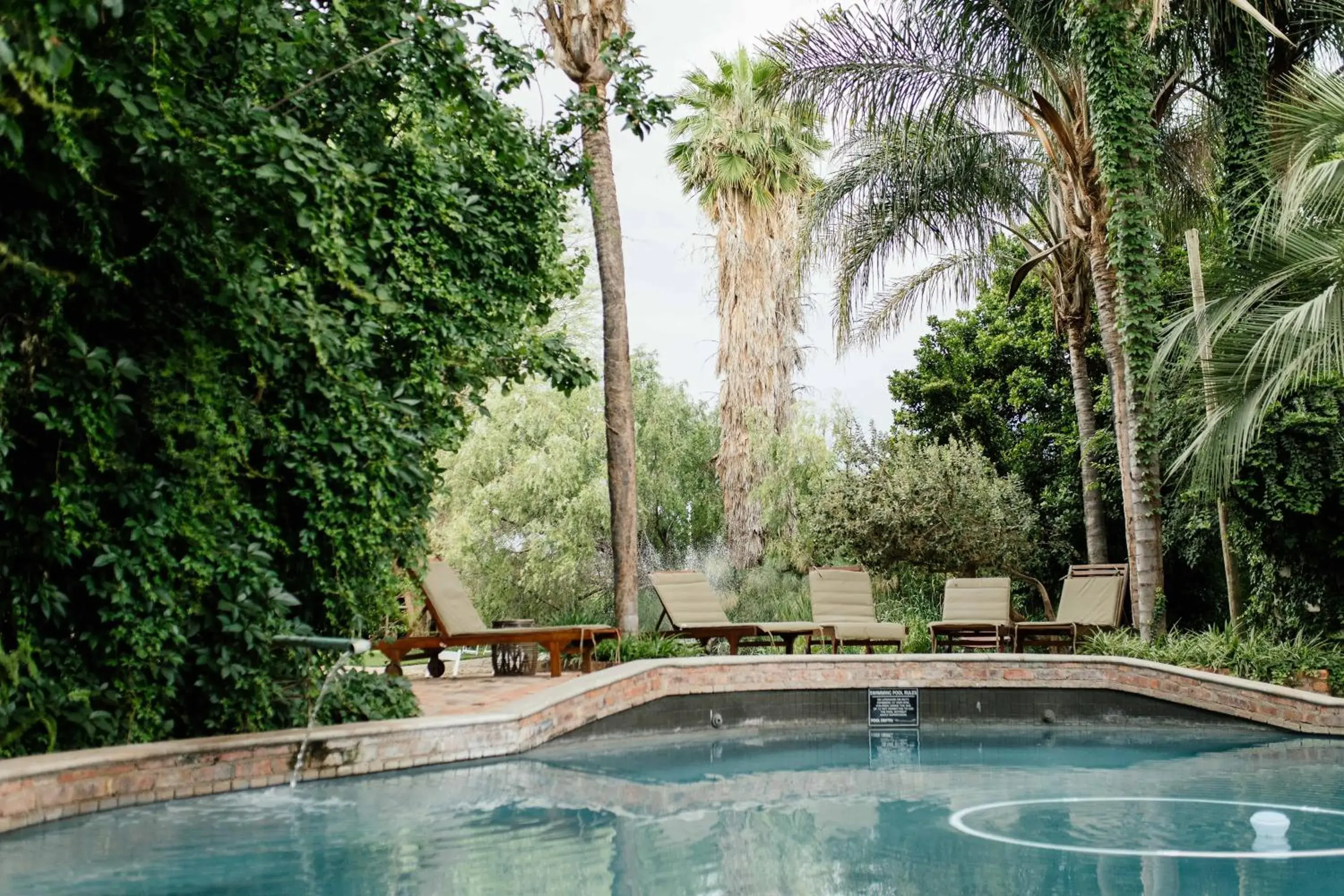 Swimming pool in Upington African Vineyard Boutique Hotel & SPA Swimming pool in Upington African Vineyard Boutique Hotel & SPA