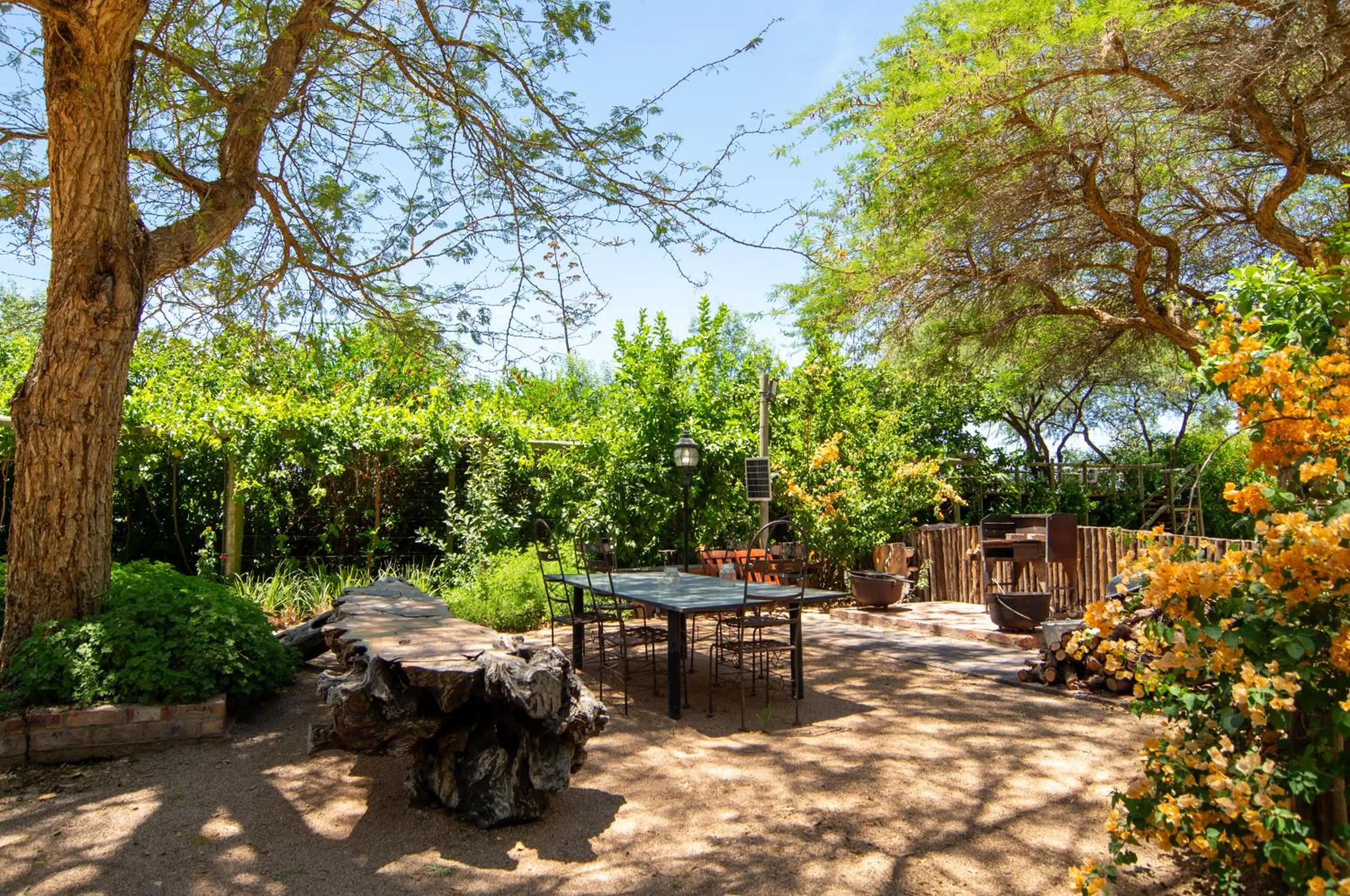 Garden view in Upington African Vineyard Boutique Hotel & SPA