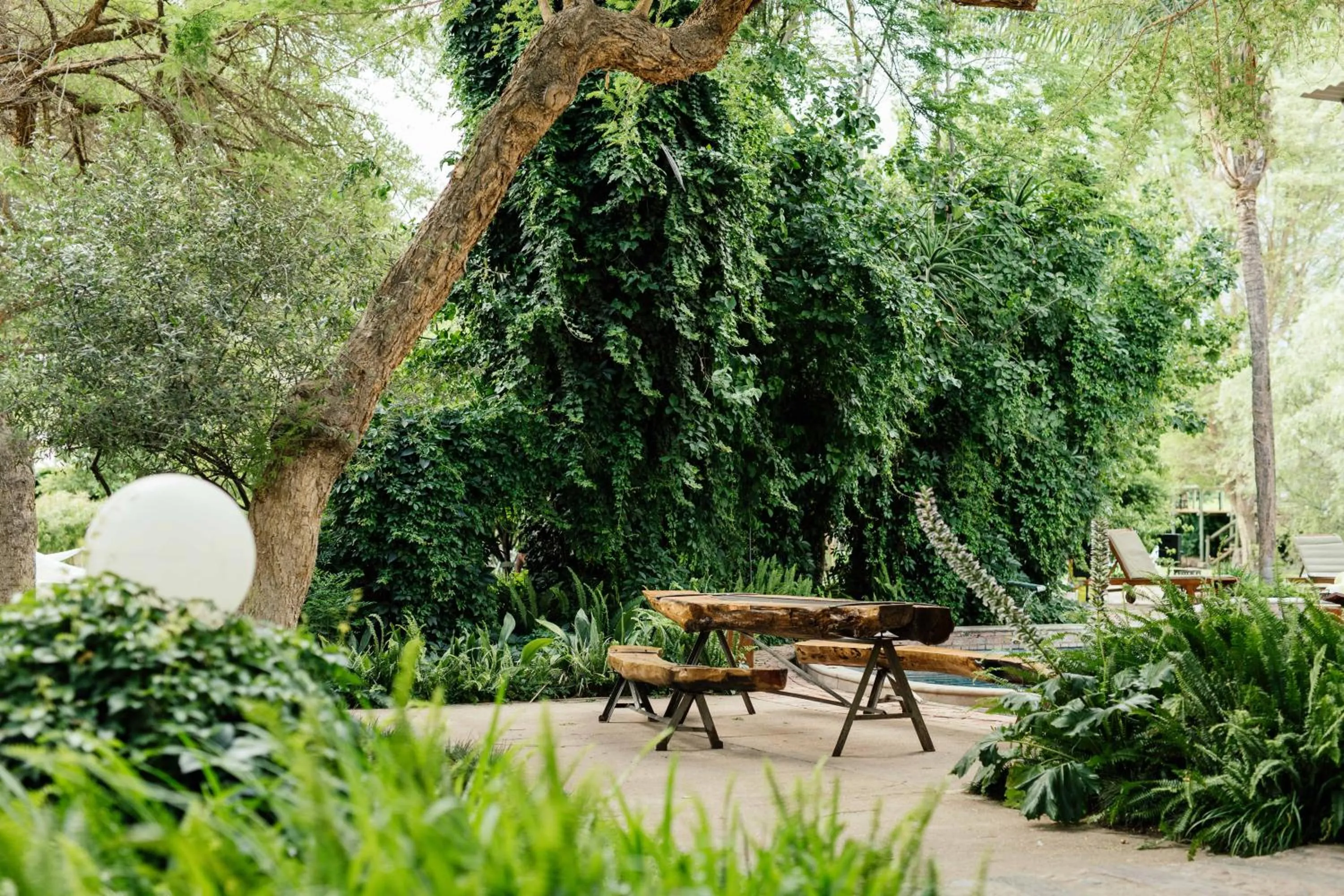 Natural landscape in Upington African Vineyard Boutique Hotel & SPA