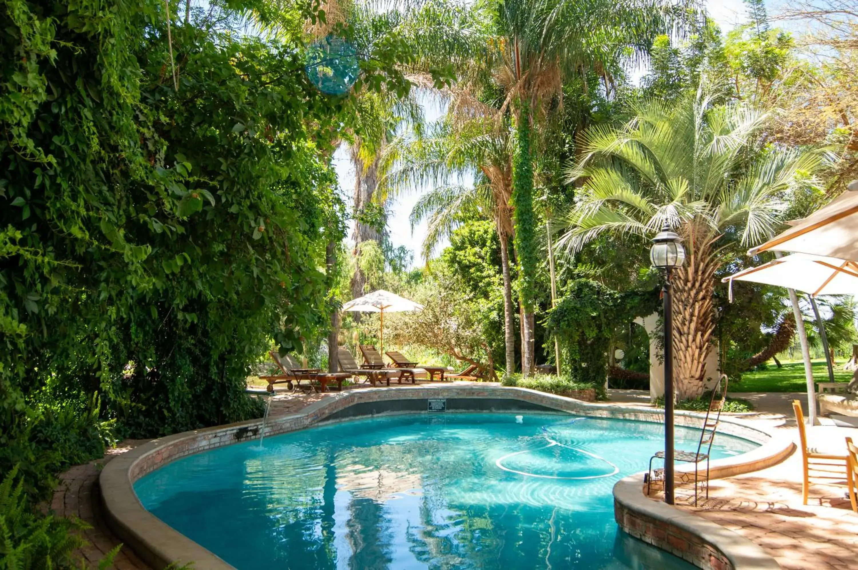 Pool view in Upington African Vineyard Boutique Hotel & SPA Pool view in Upington African Vineyard Boutique Hotel & SPA