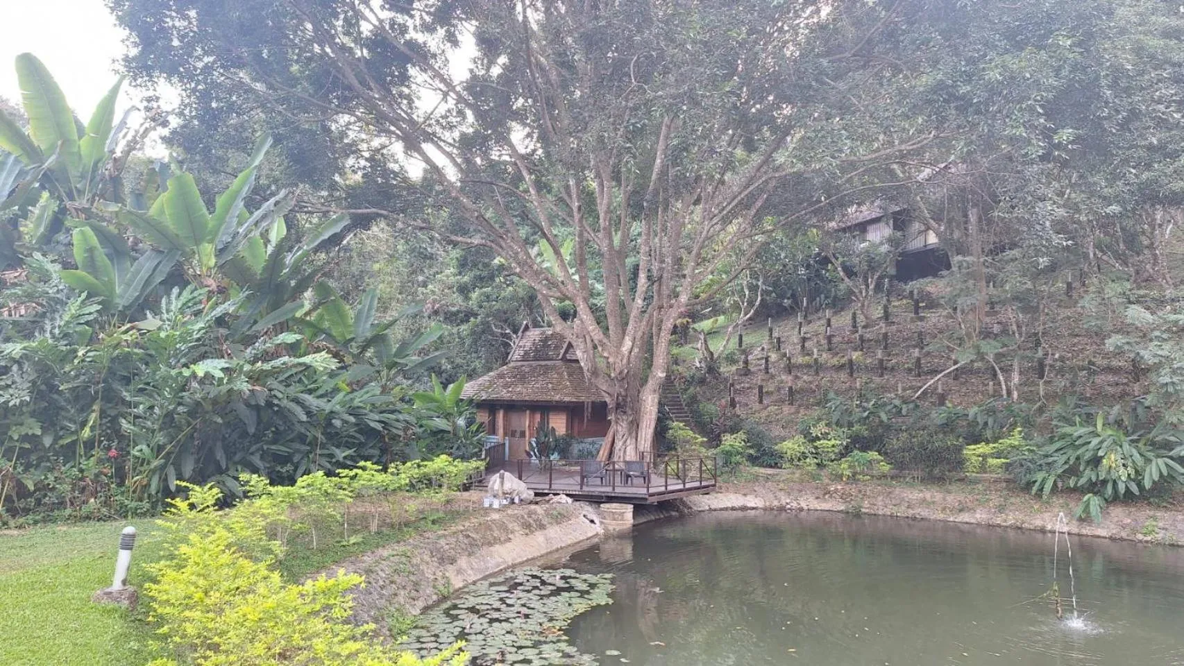 Vanilla hill (hill lodge)