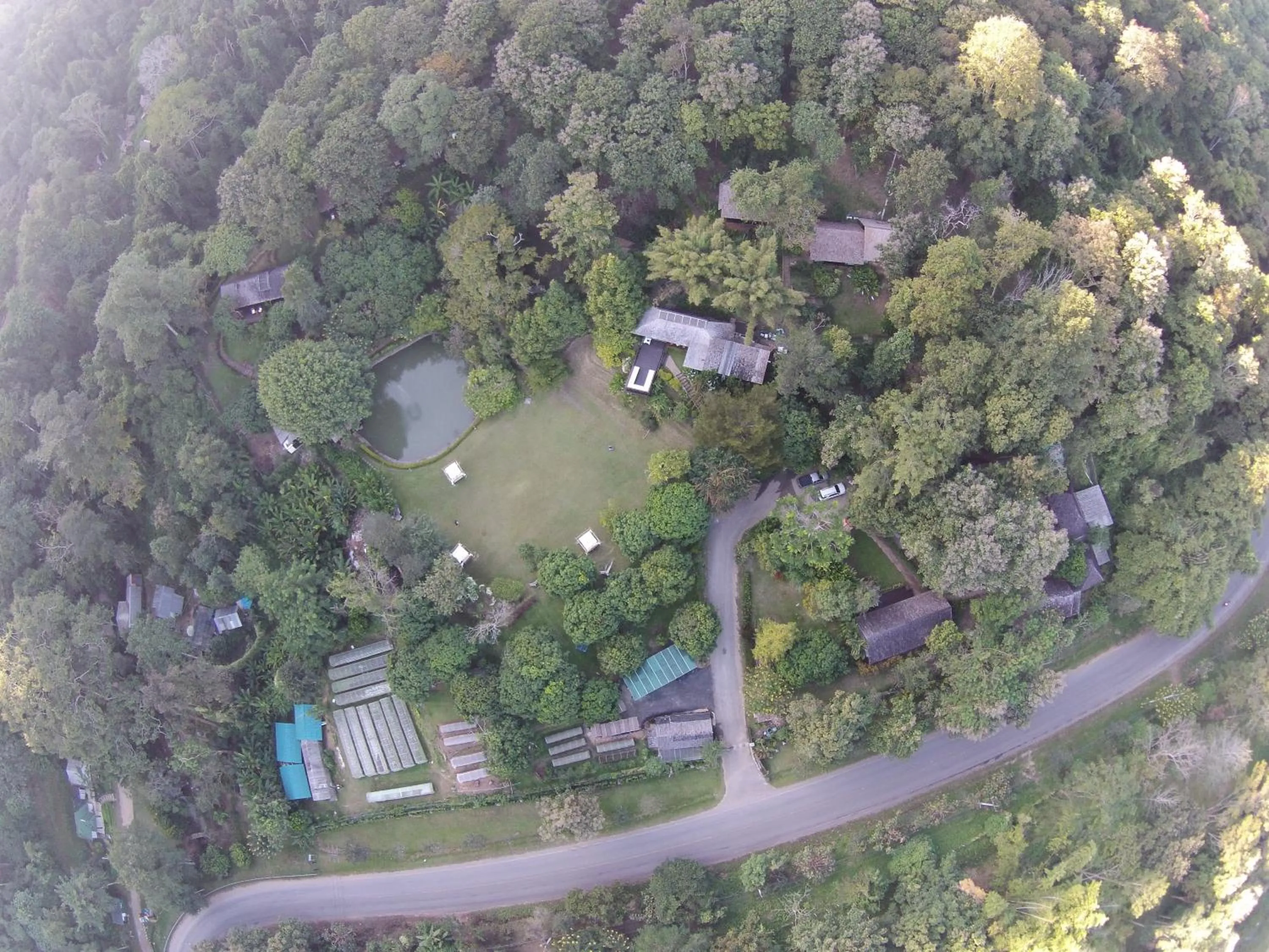 Bird's eye view in Vanilla hill (hill lodge)