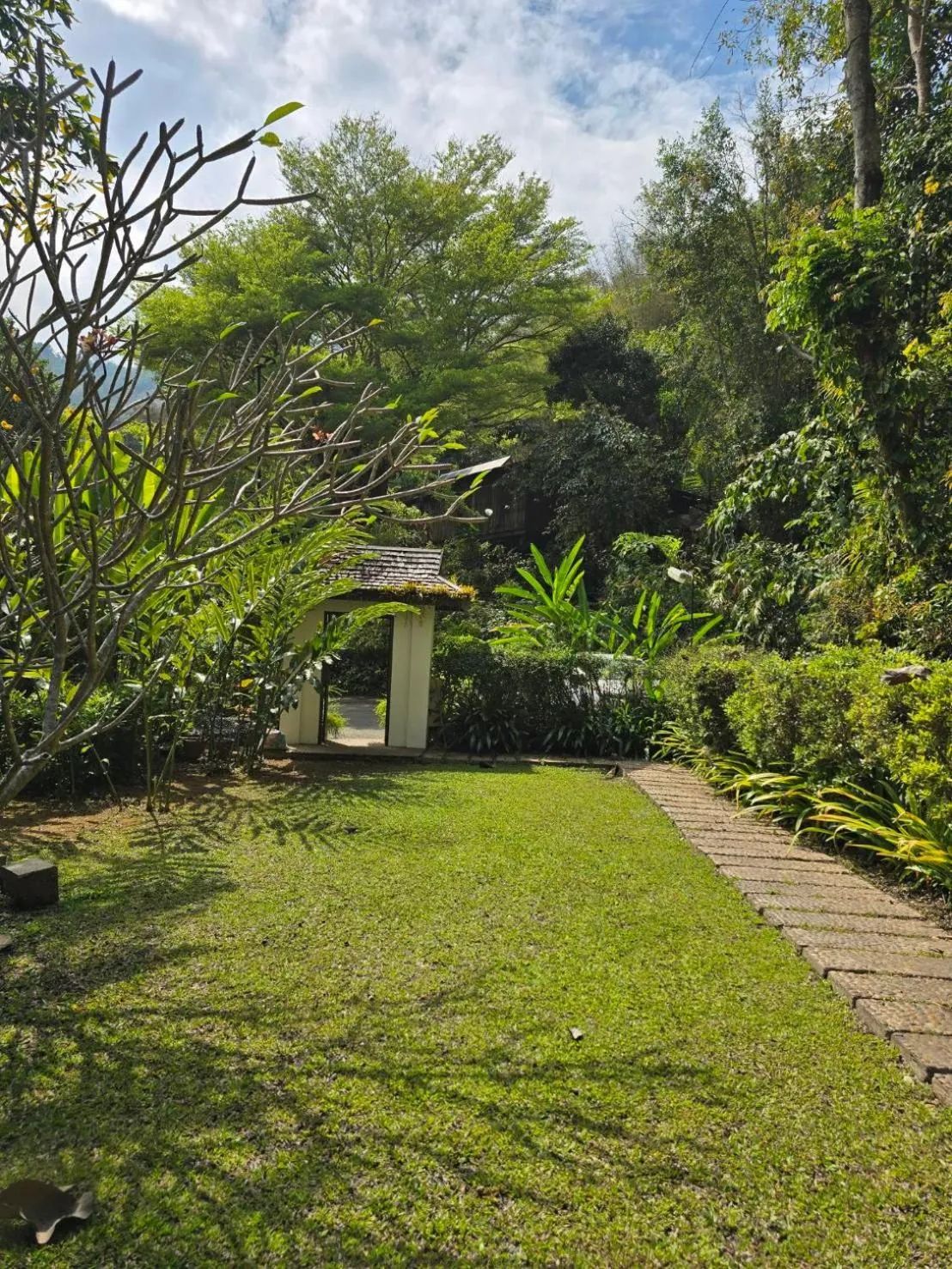 Vanilla hill (hill lodge)