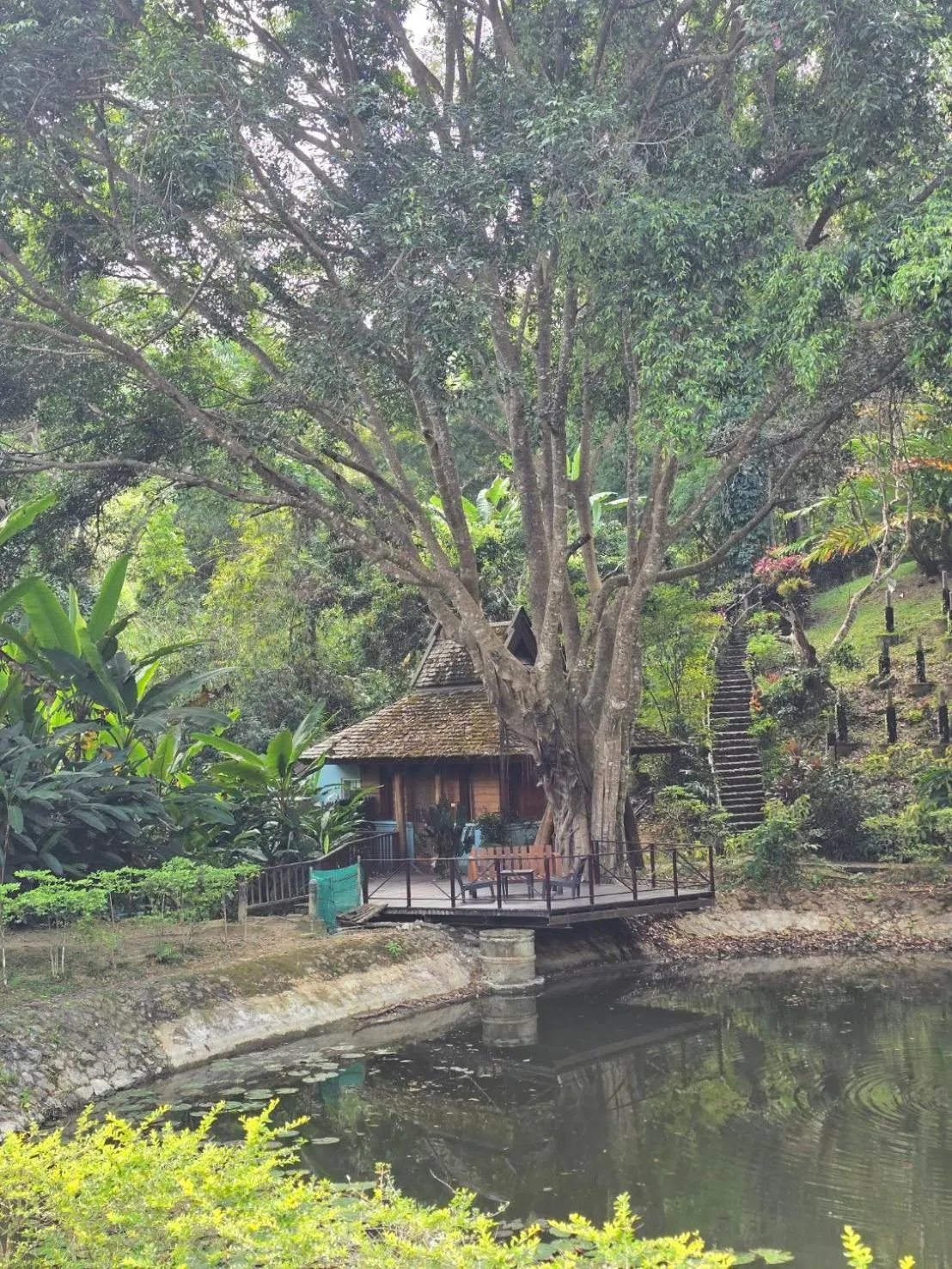 Vanilla hill (hill lodge)