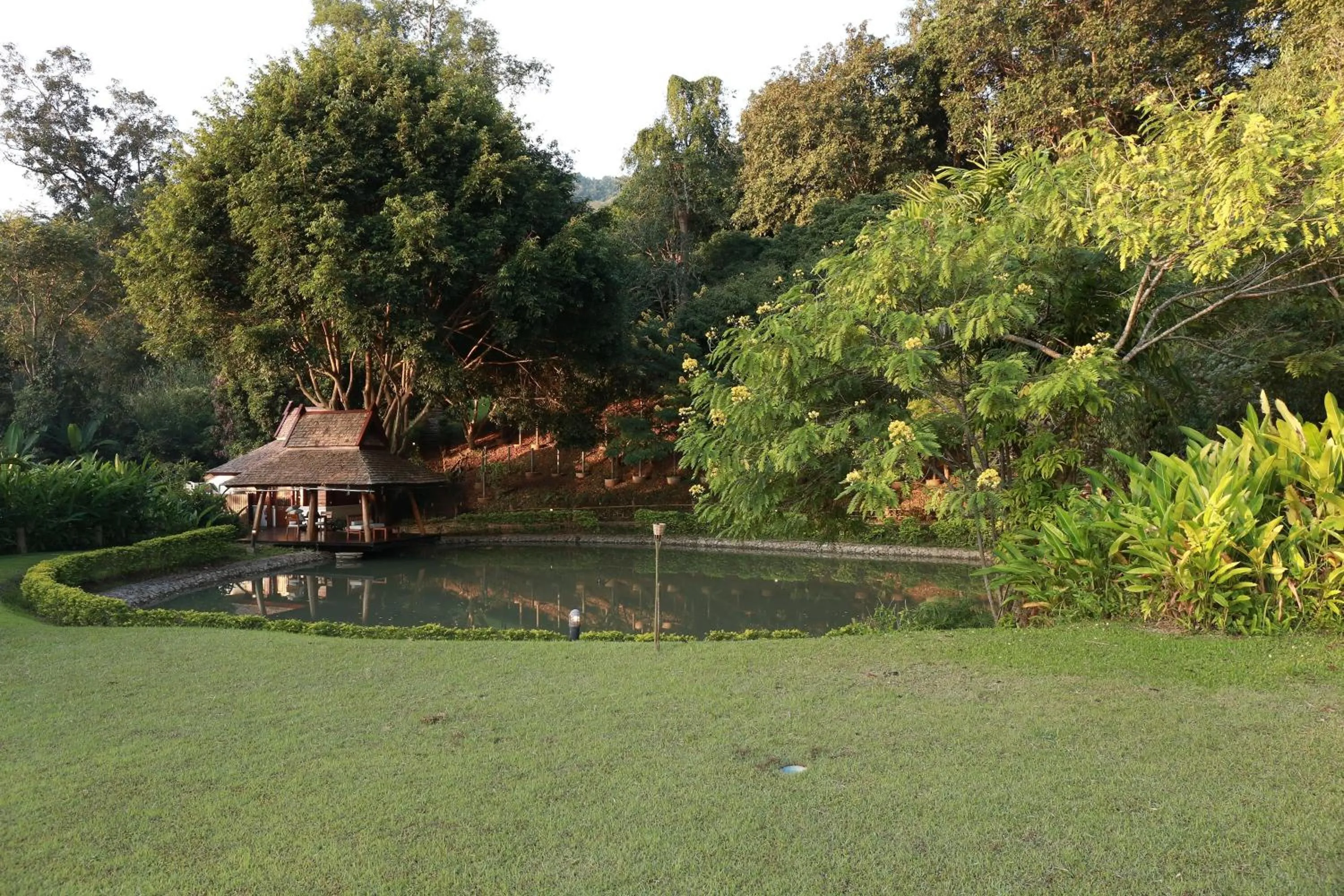 Garden in Vanilla hill (hill lodge)