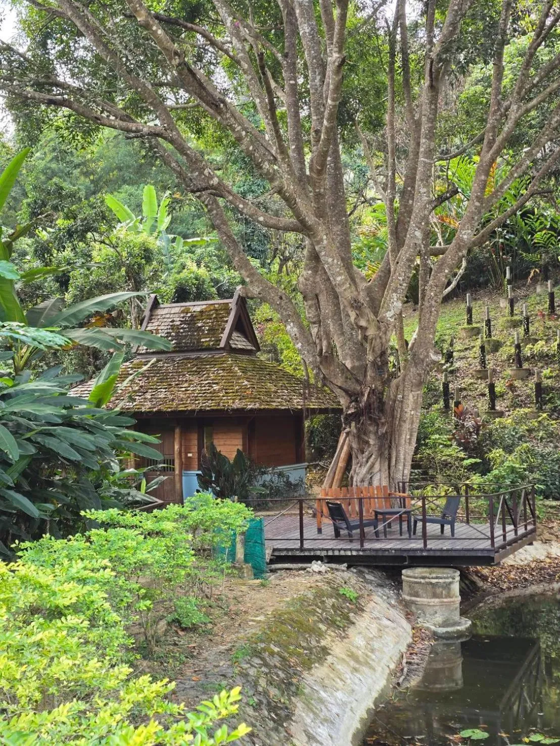 Vanilla hill (hill lodge)