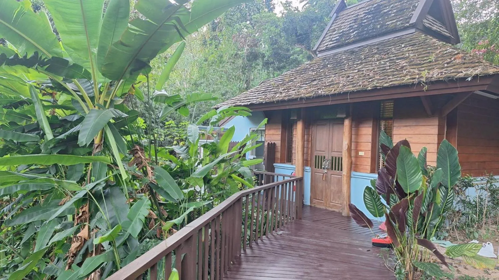 Vanilla hill (hill lodge)