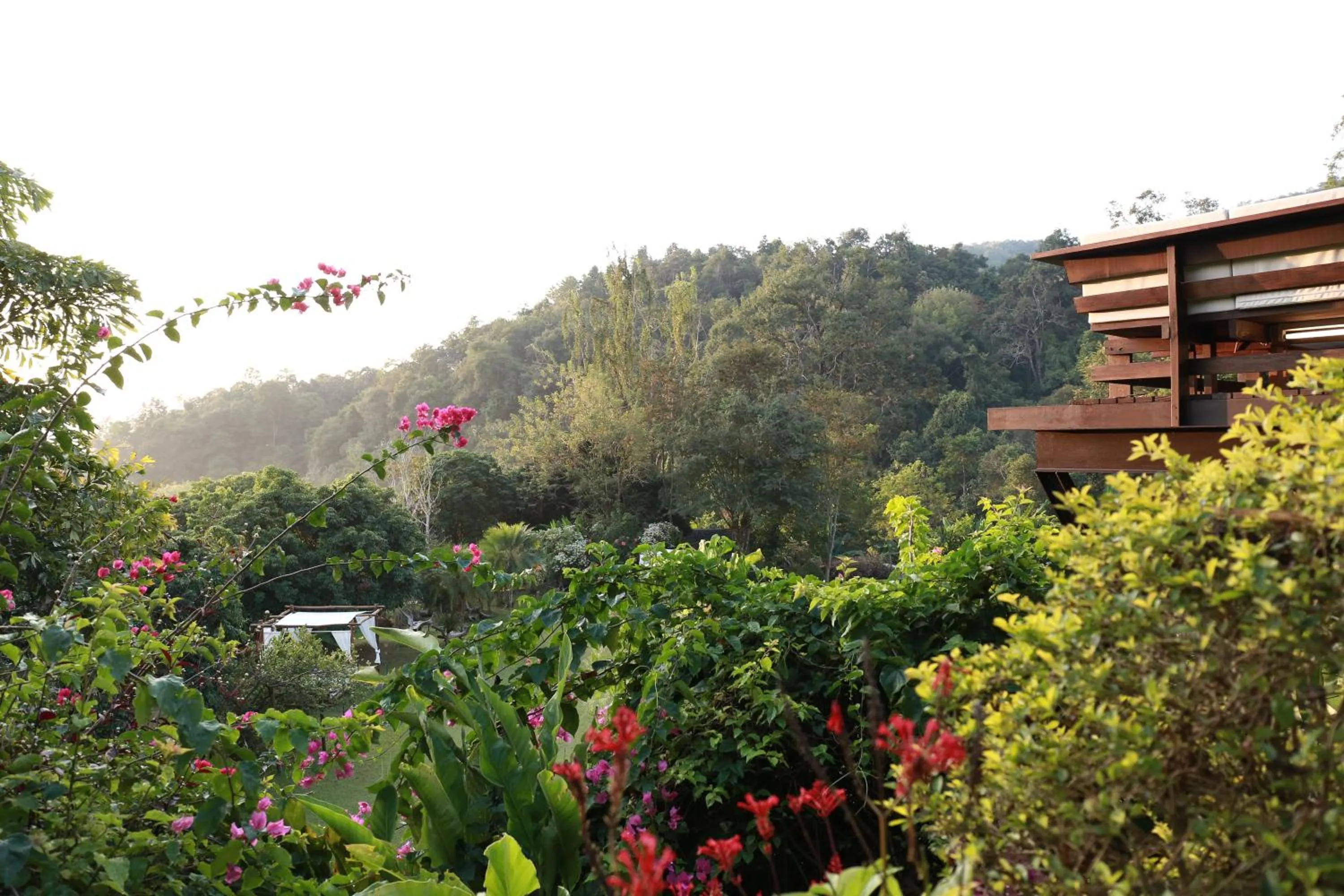 View (from property/room) in Vanilla hill (hill lodge)