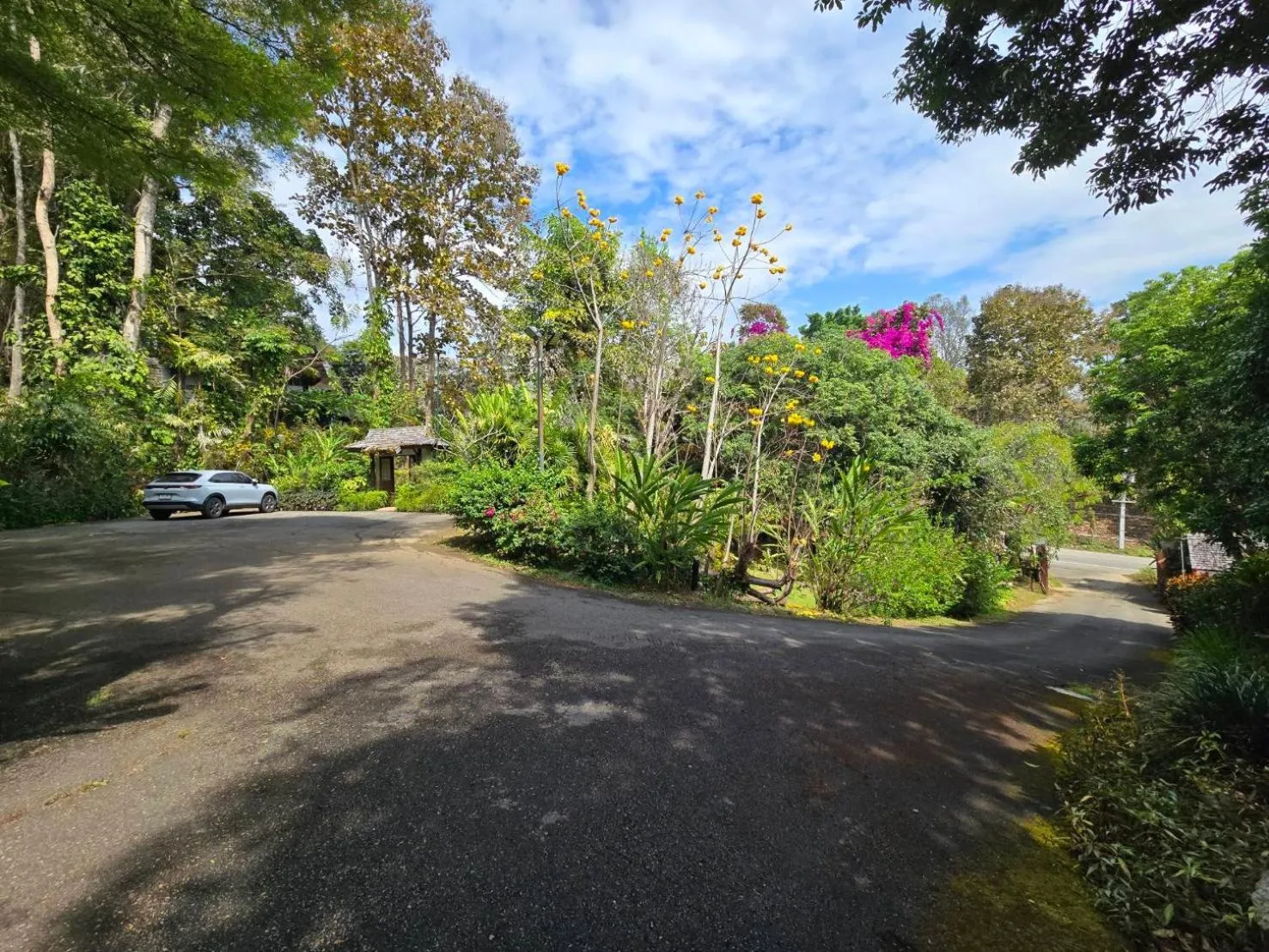 Vanilla hill (hill lodge)