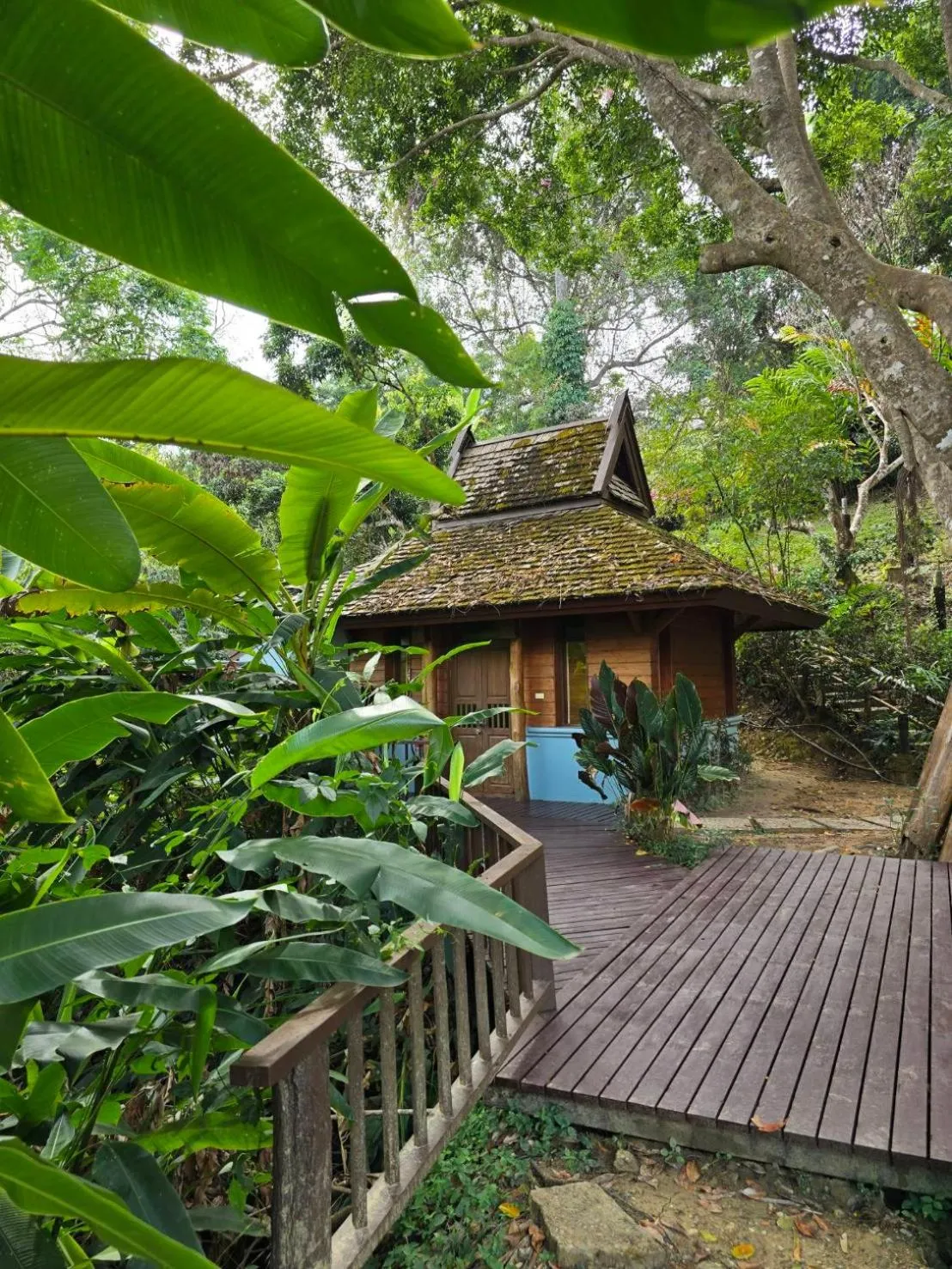 Vanilla hill (hill lodge)