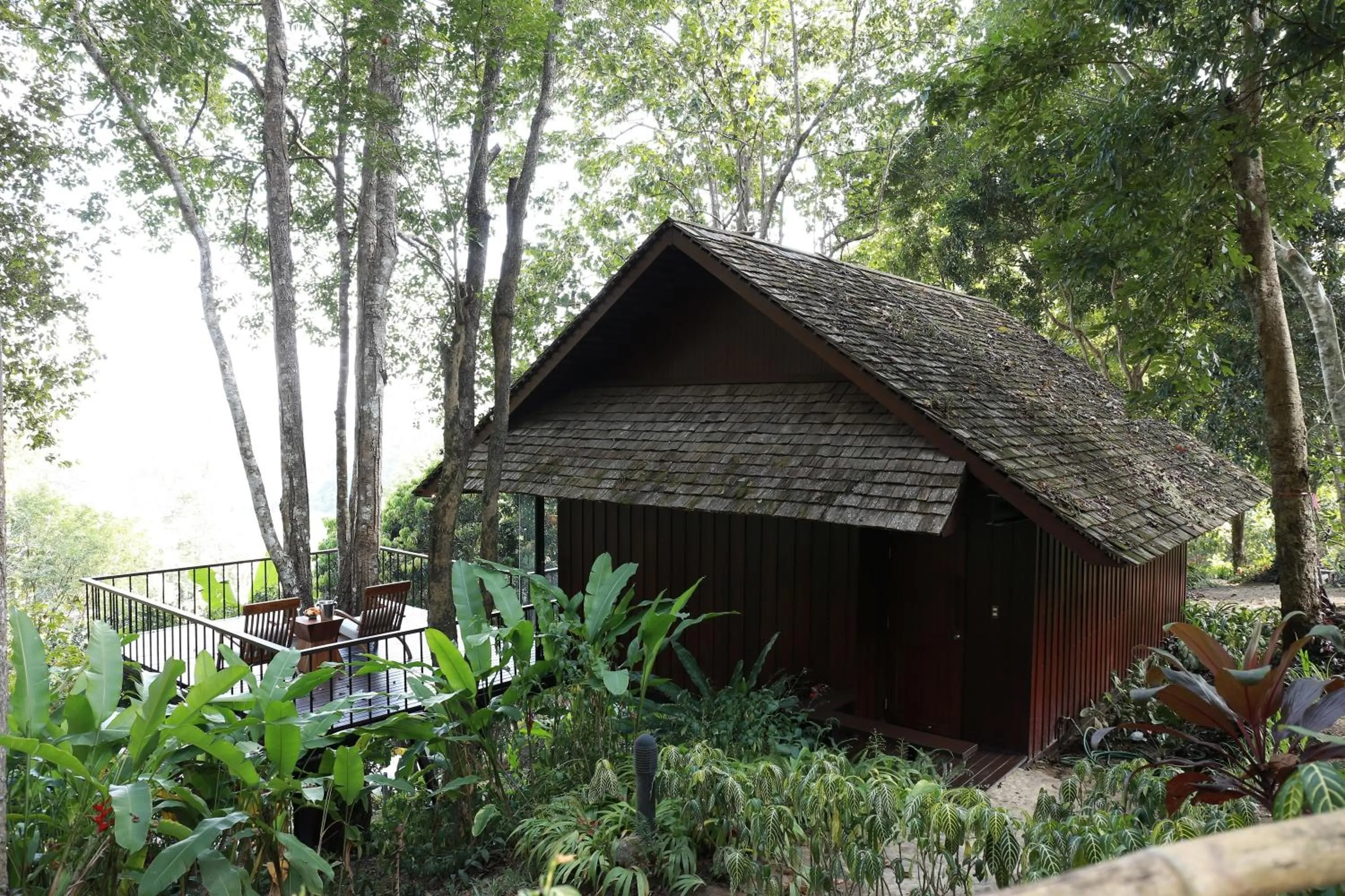 Area and facilities in Vanilla hill (hill lodge)