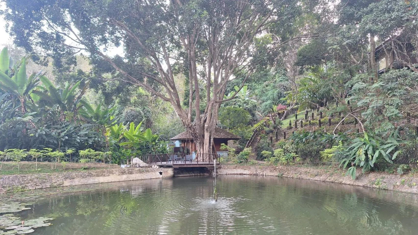 Vanilla hill (hill lodge)