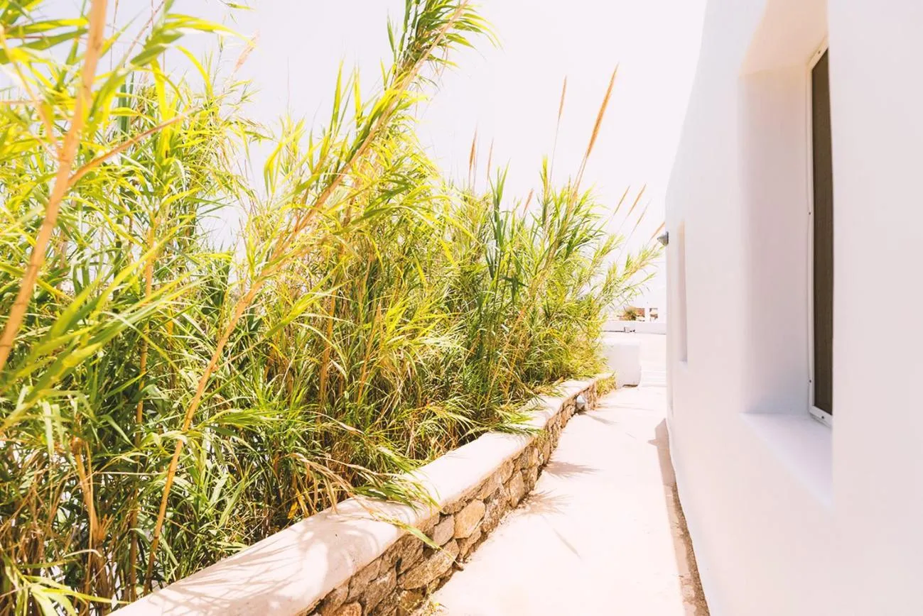 Garden view in Paradise Beach Camping - Adults Only