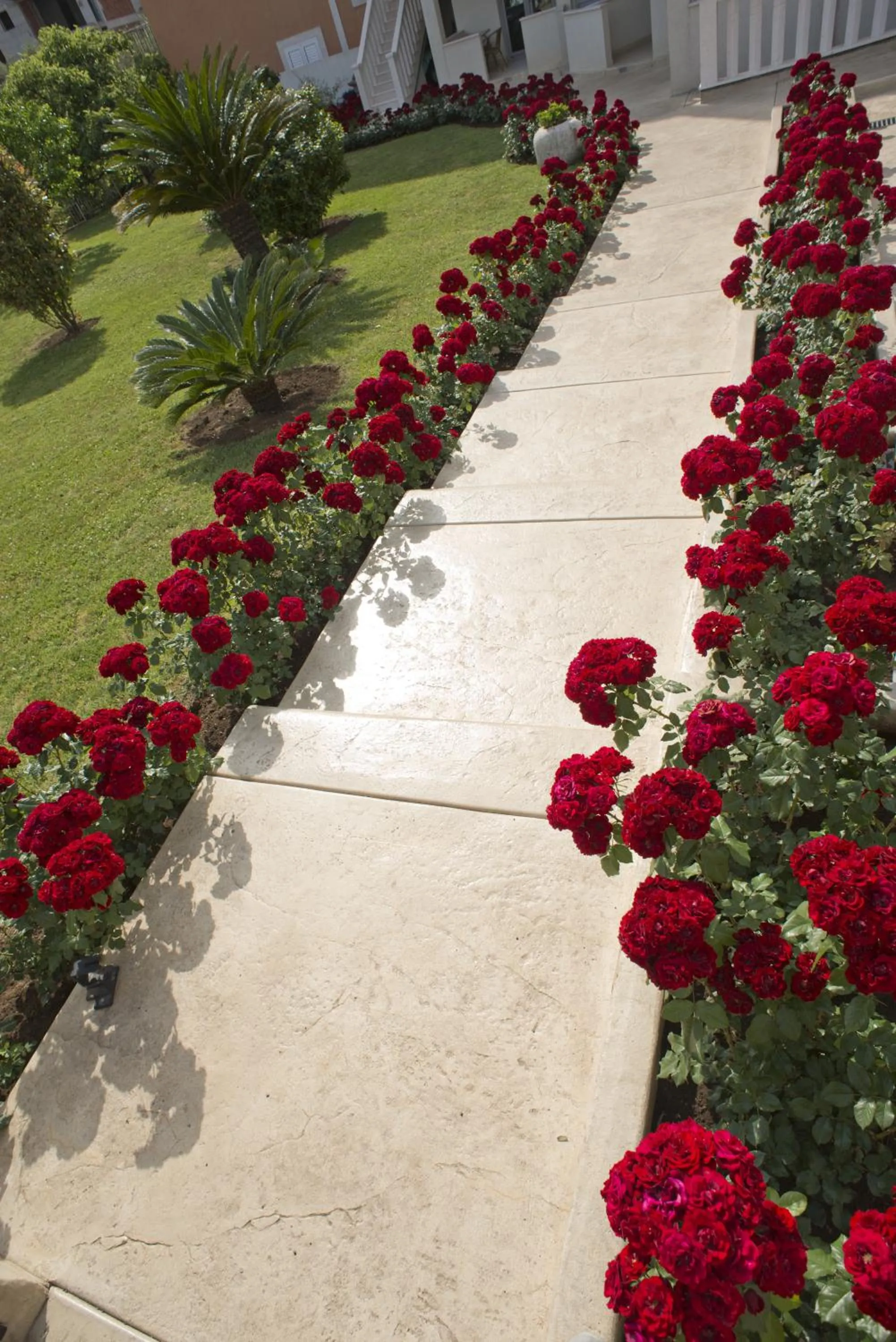 Garden view in Vila V Lux Apartments