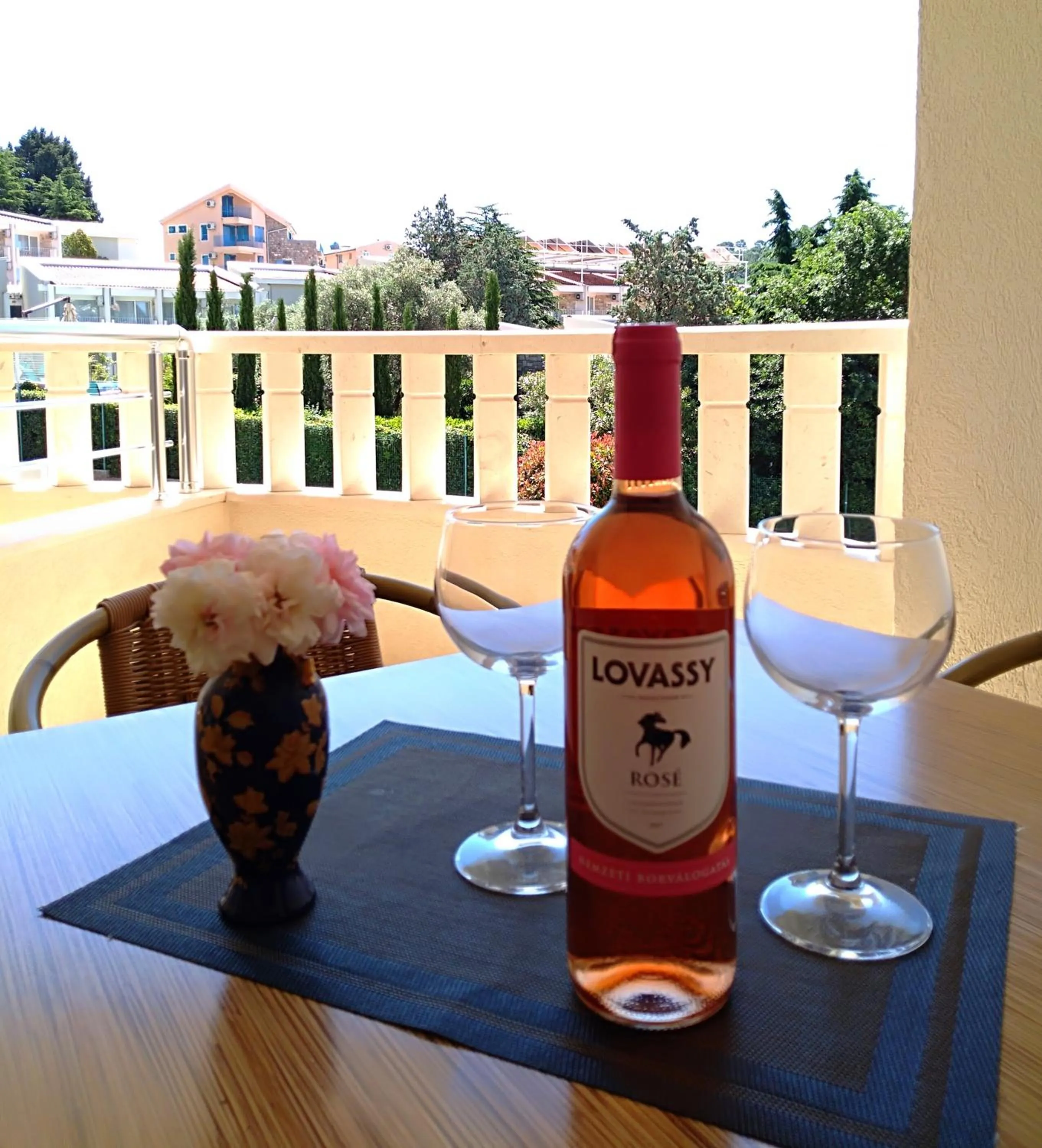 Balcony/Terrace in Vila V Lux Apartments