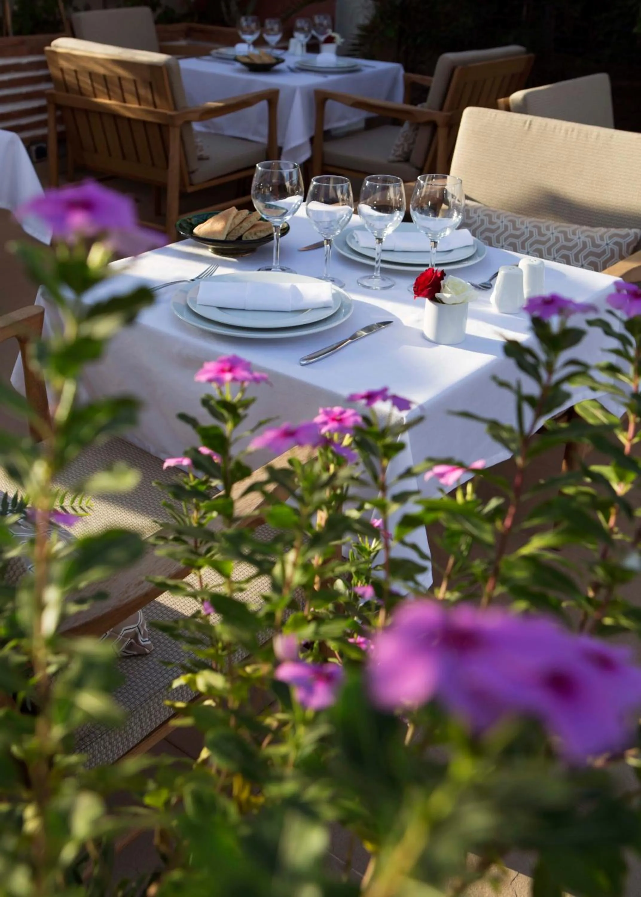 Restaurant/places to eat in Riad Dar Alfarah