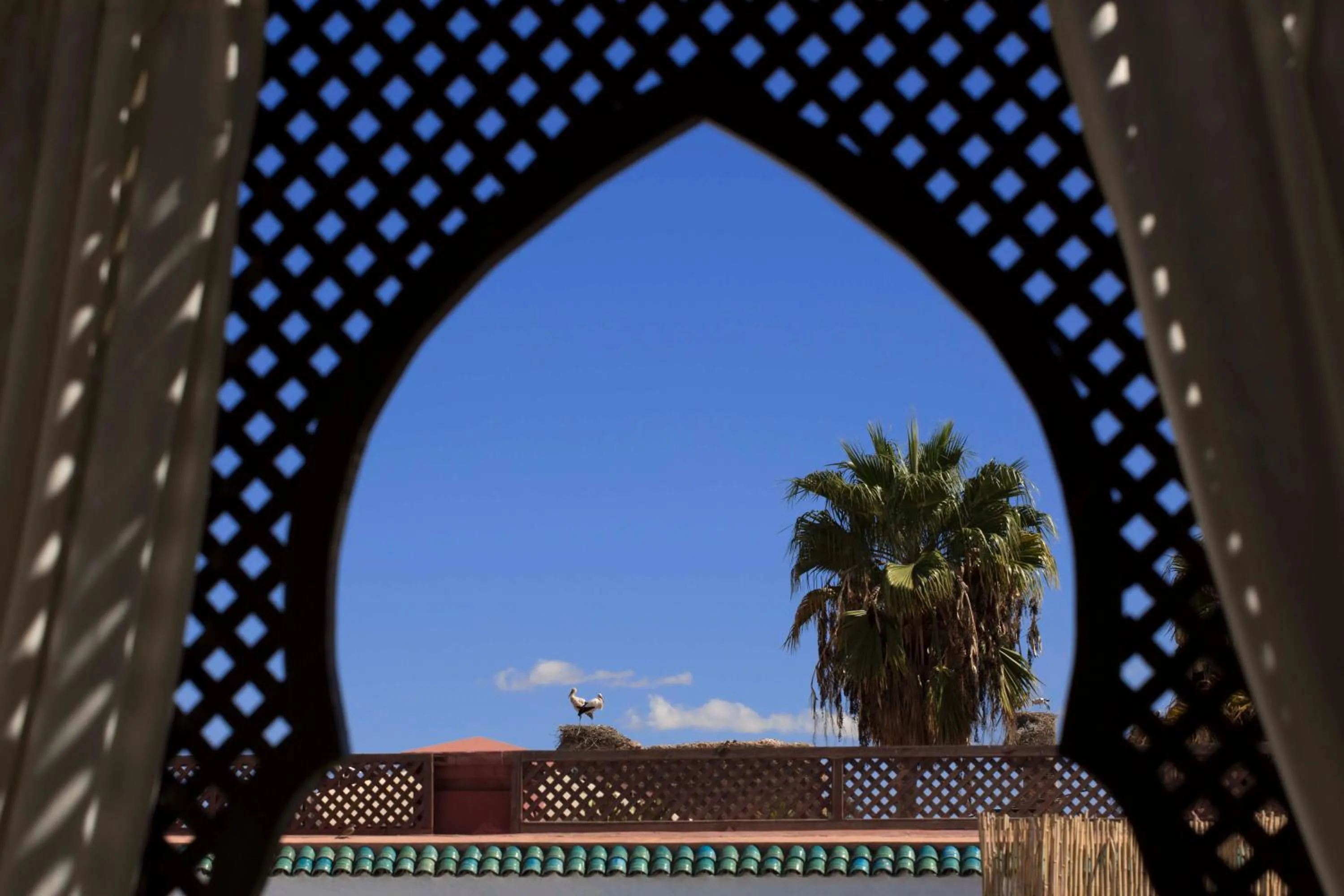 Balcony/Terrace in Riad Dar Alfarah