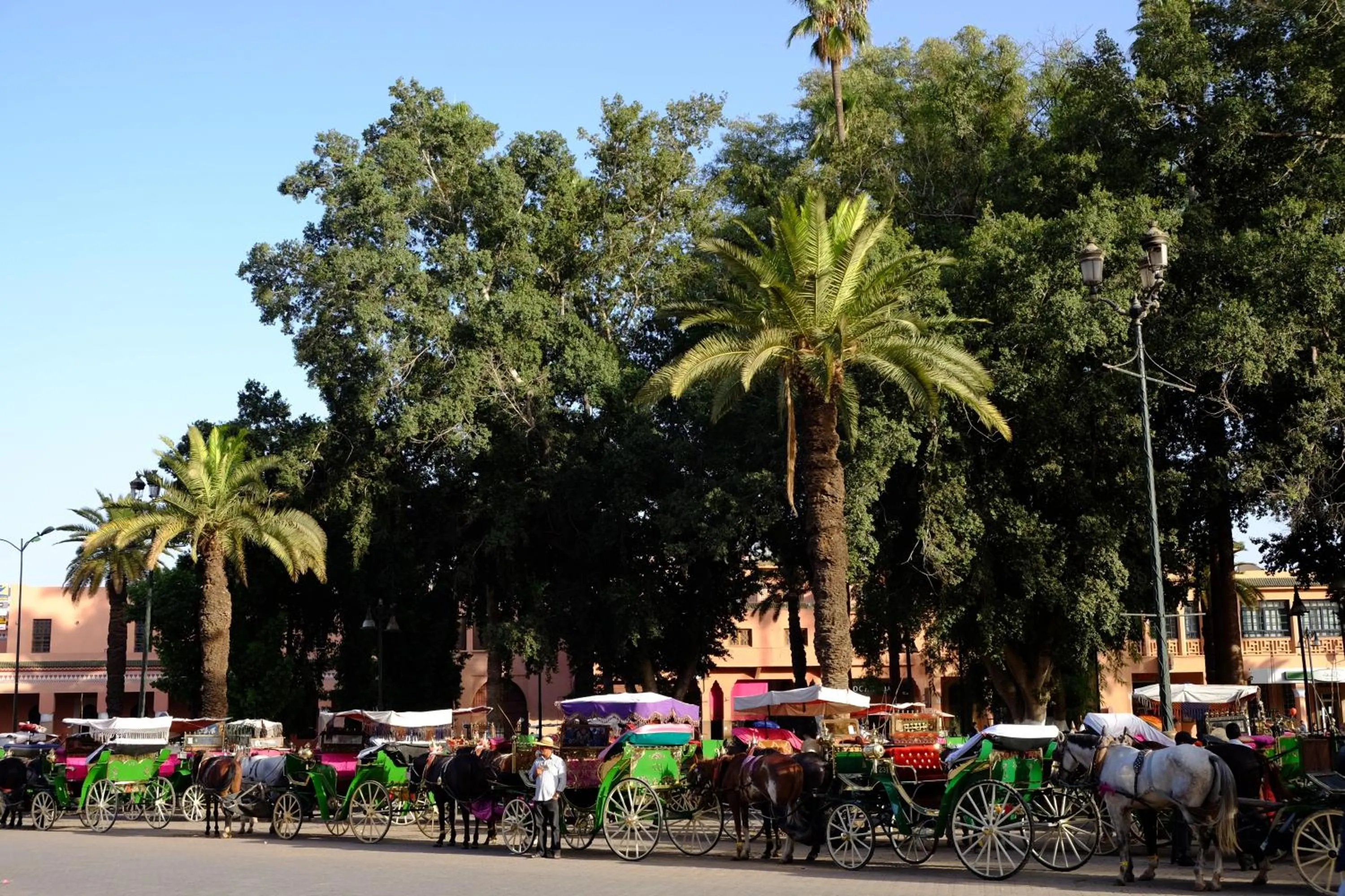 Activities in Riad Dar Alfarah