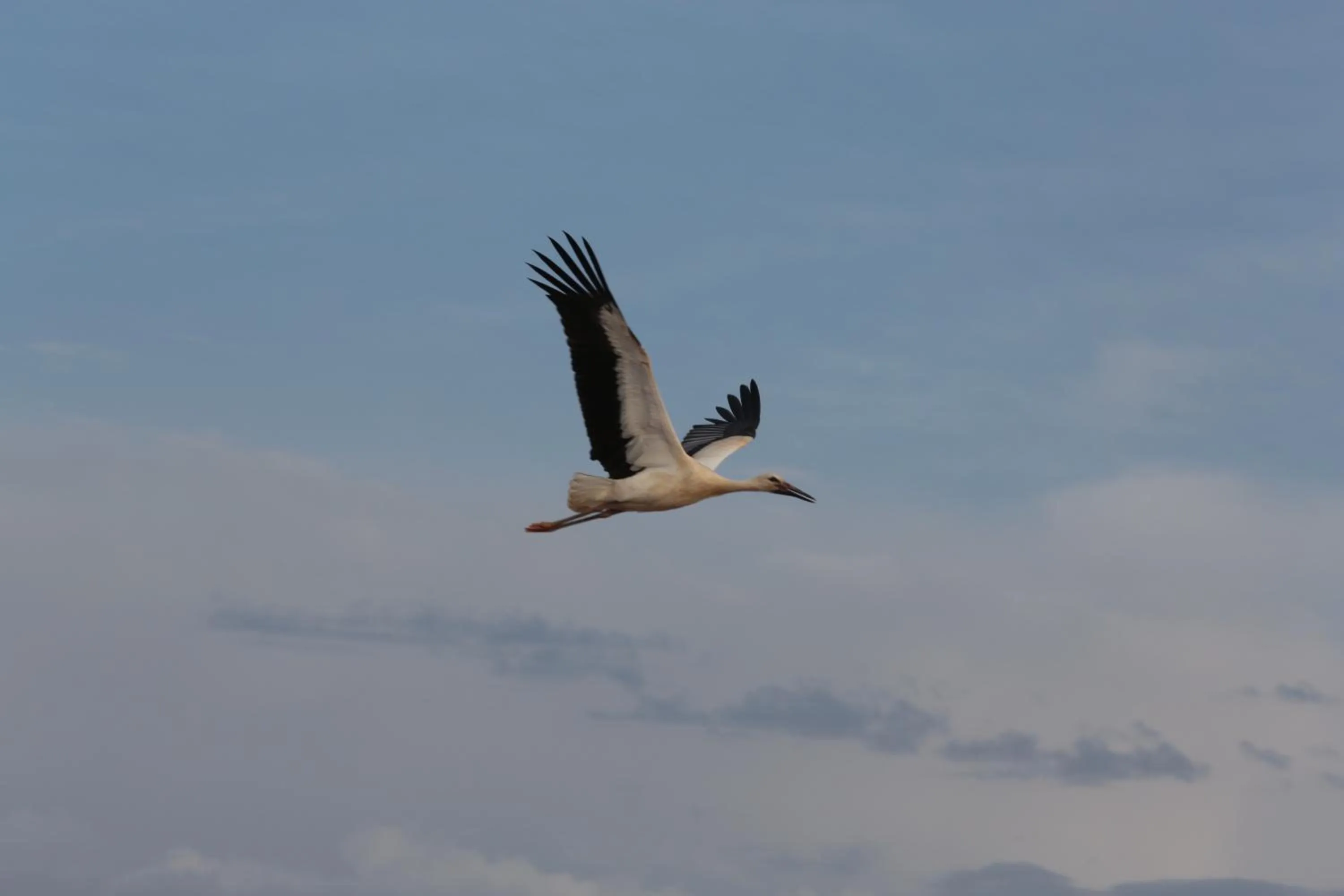 Natural landscape in Riad Dar Alfarah