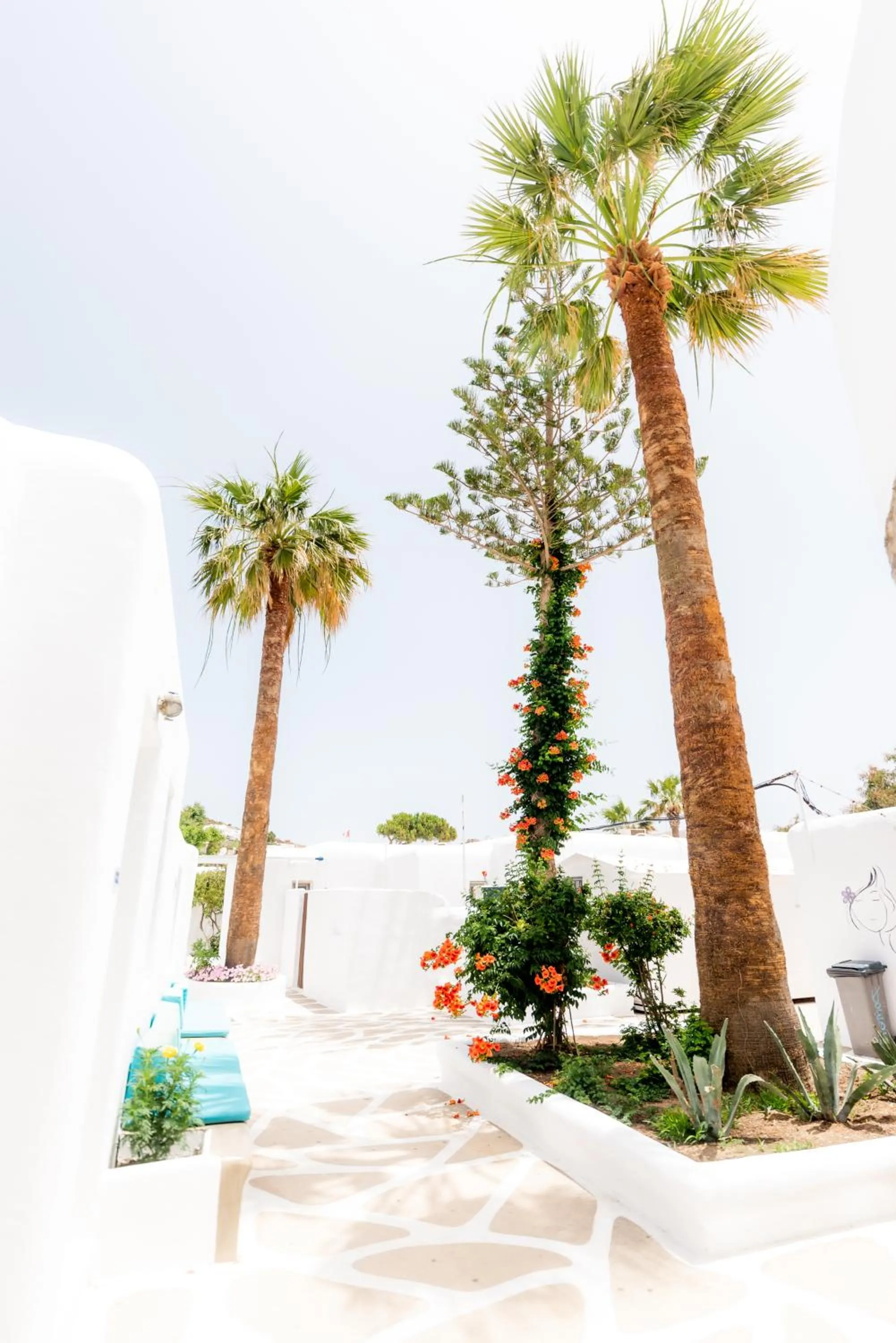 Property building in Paradise Beach Resort