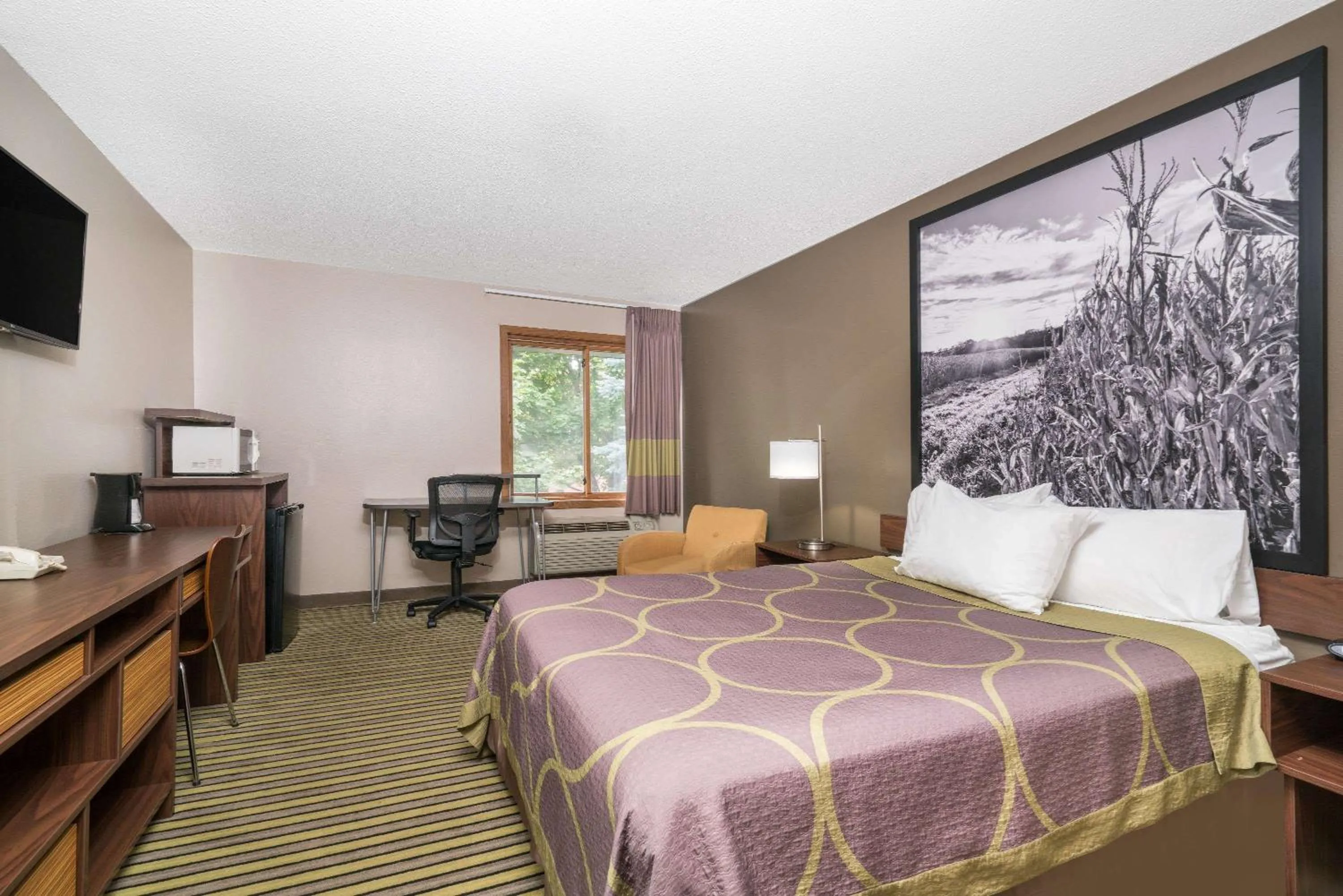 Other, Bed in Super 8 by Wyndham St. Cloud