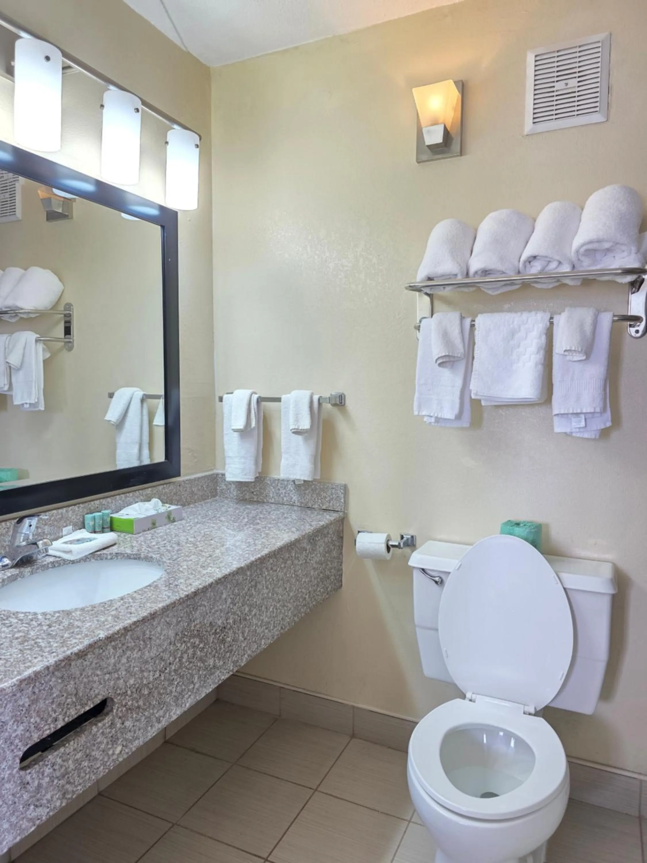 Bathroom in Chattanooga Heritage Inn