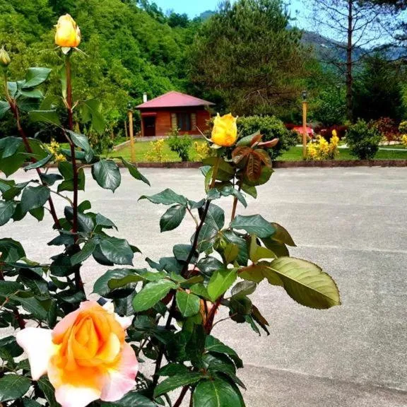 Parking in pınar kır evi