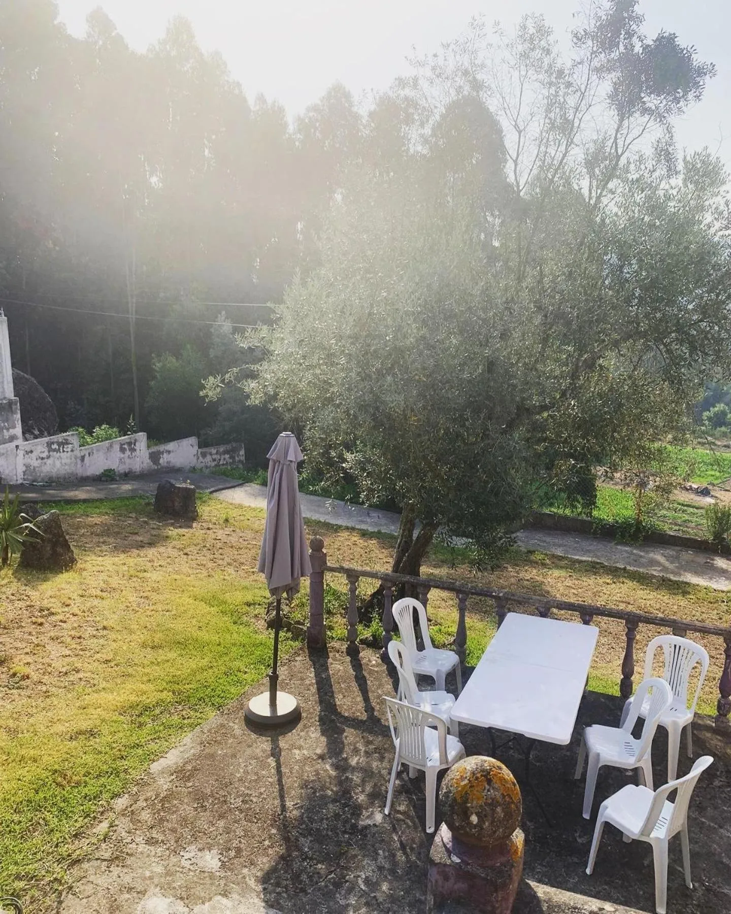 Catloc & Kitcat Alojamento Local