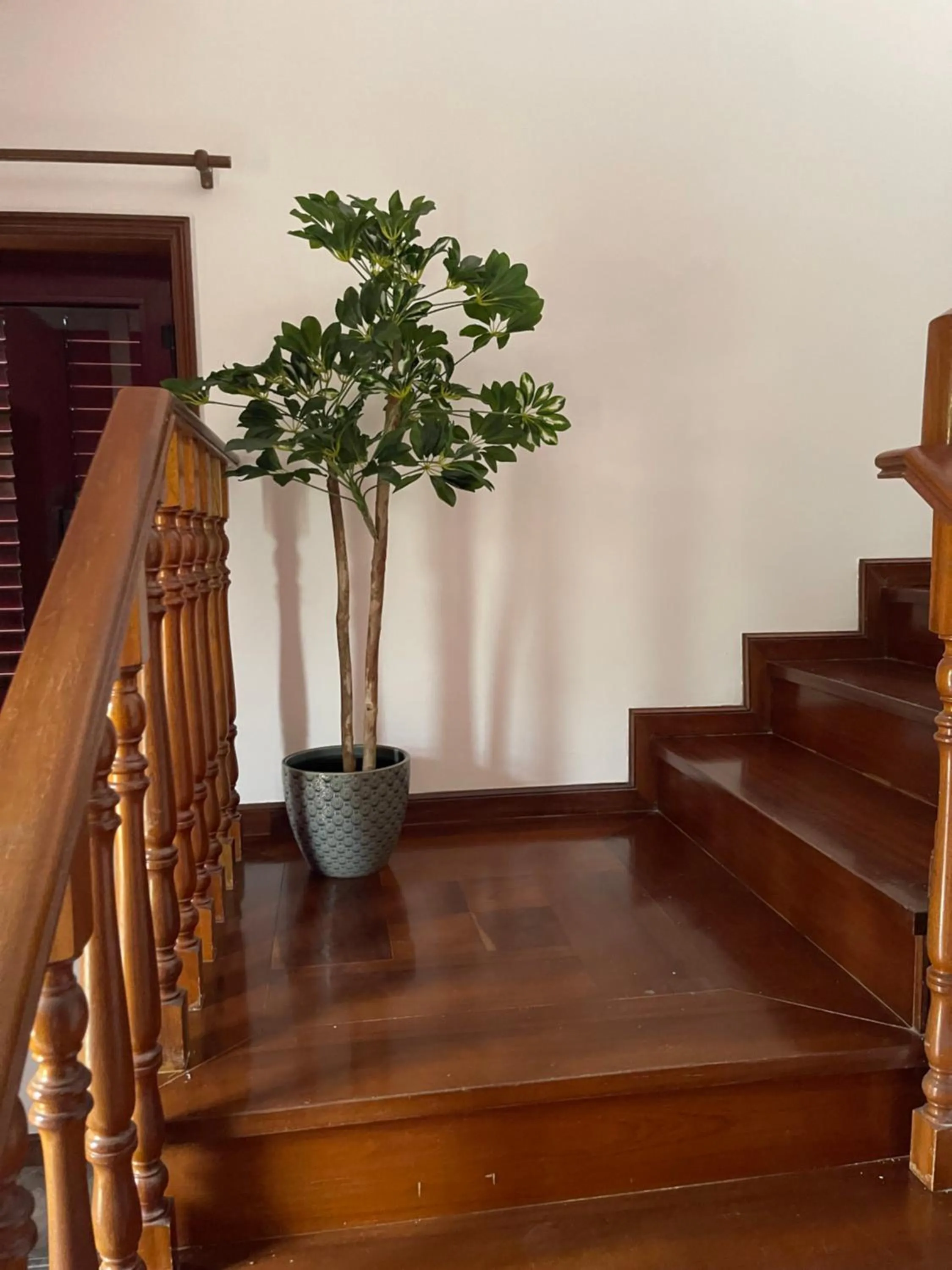 Facade/entrance in Catloc & Kitcat Alojamento Local