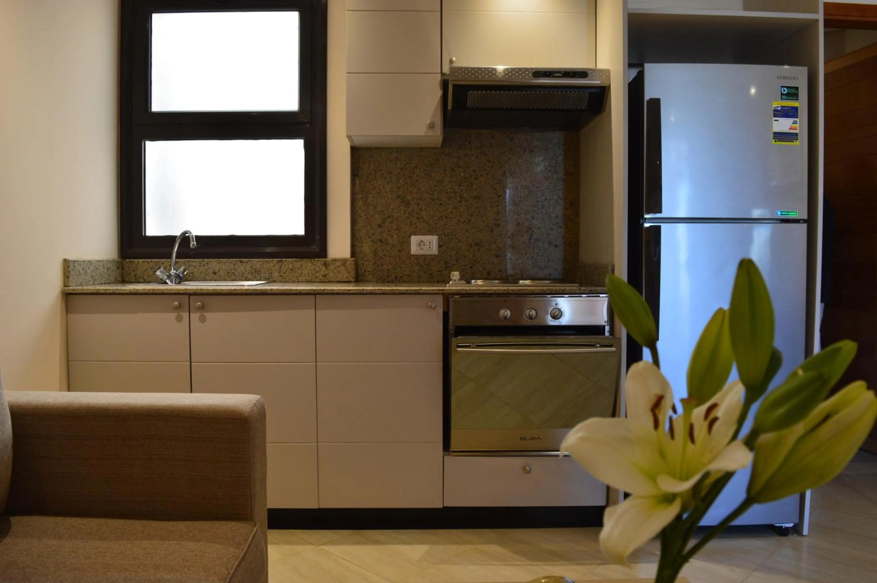Kitchen or kitchenette in Sky View Suites Hotel