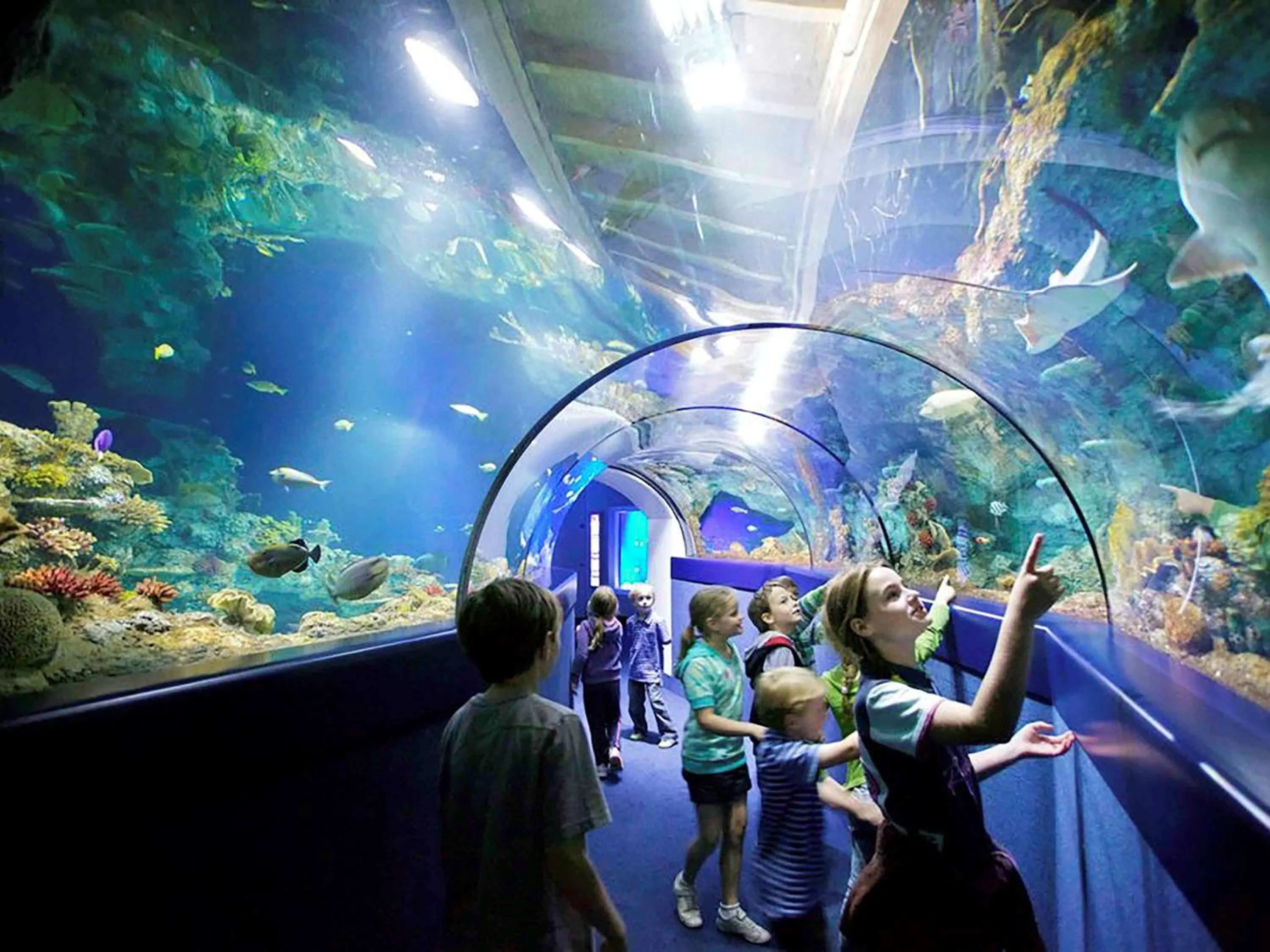 Other in Mercure Bristol Holland House Hotel & Spa