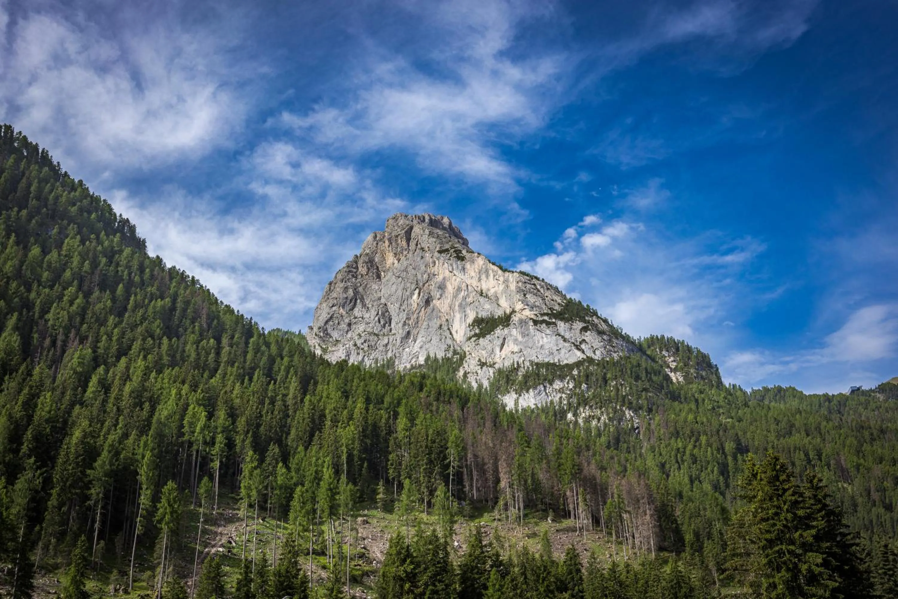 Natural landscape in Aparthotel Princess