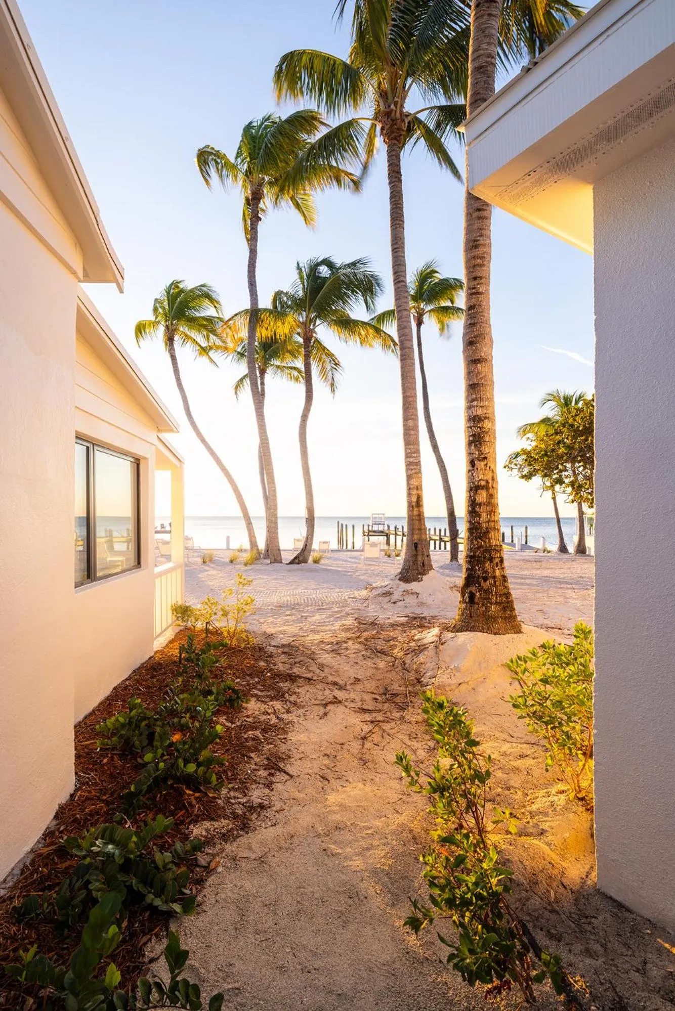 Pines &amp; Palms Resort