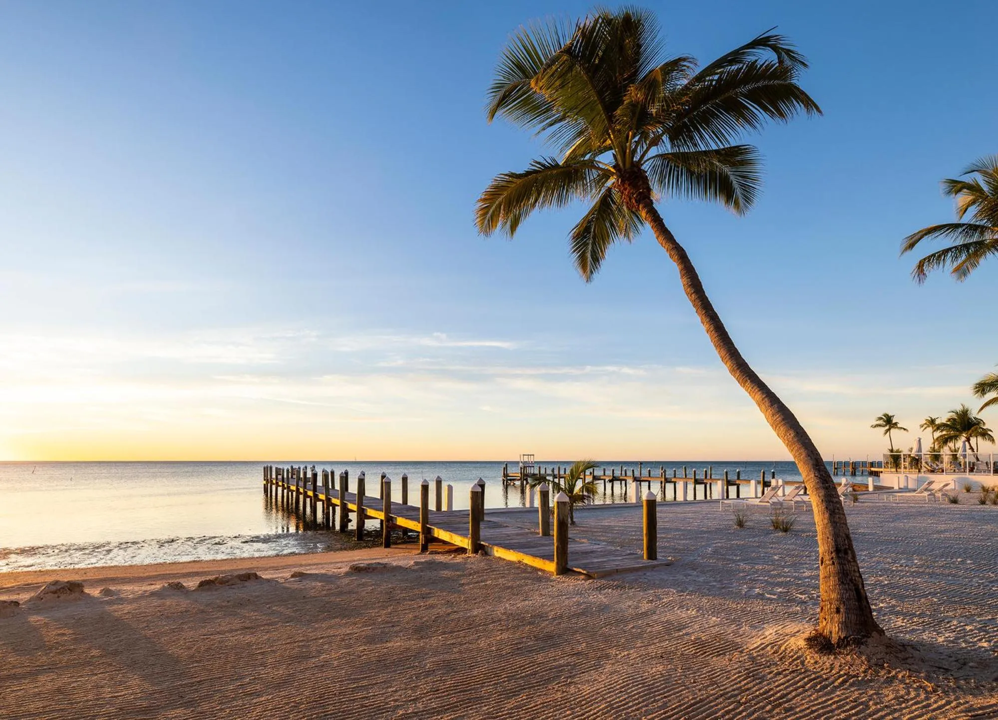 Pines &amp; Palms Resort