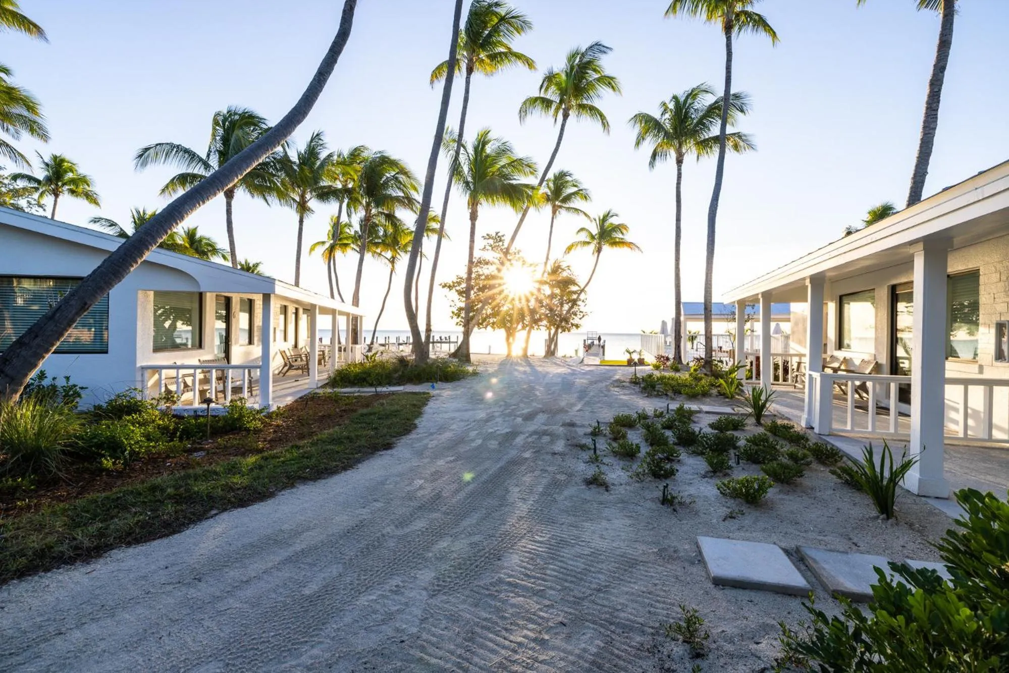 Pines &amp; Palms Resort