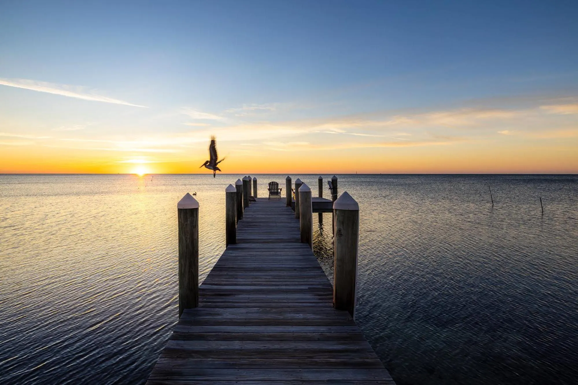 Pines &amp; Palms Resort