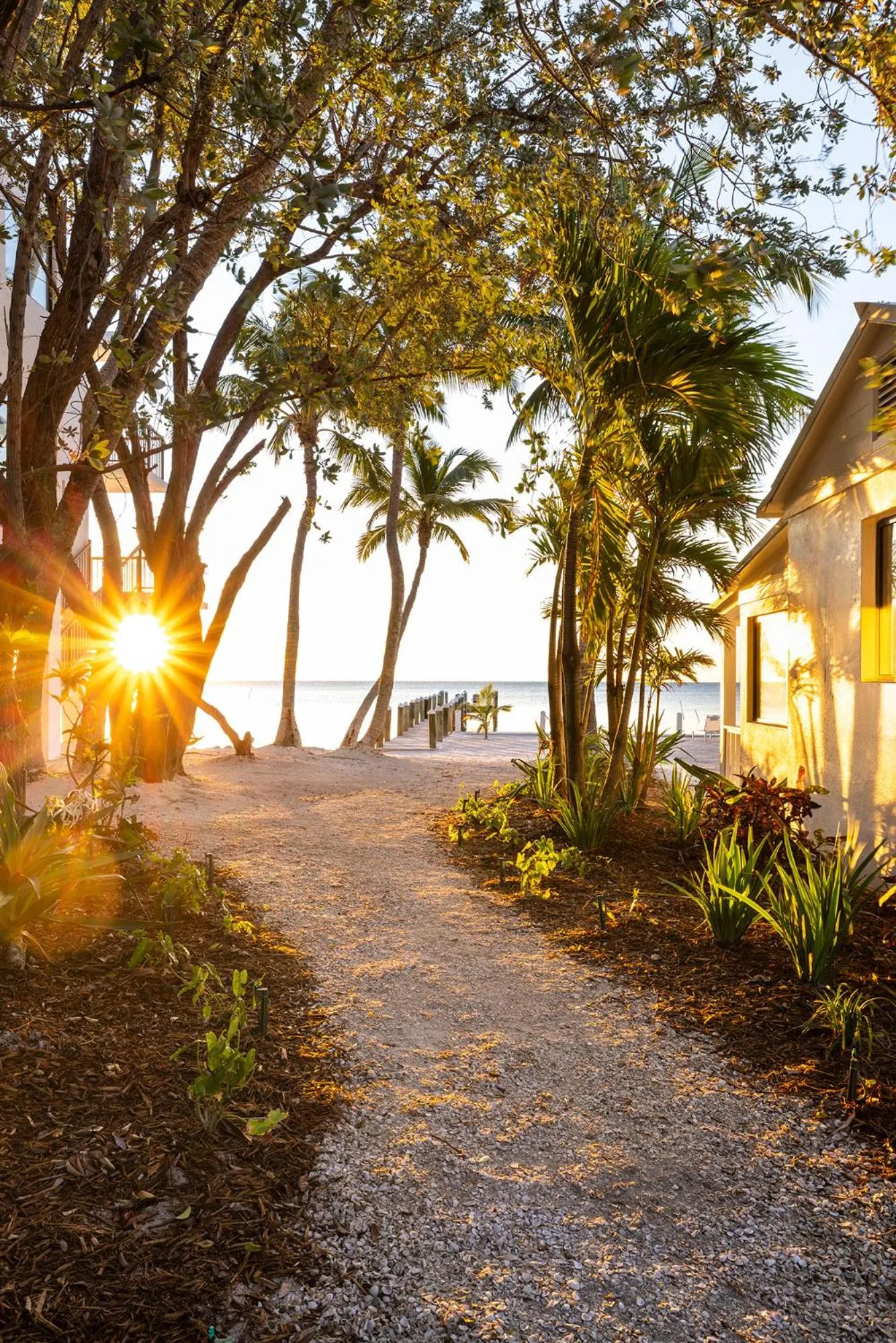 Pines &amp; Palms Resort