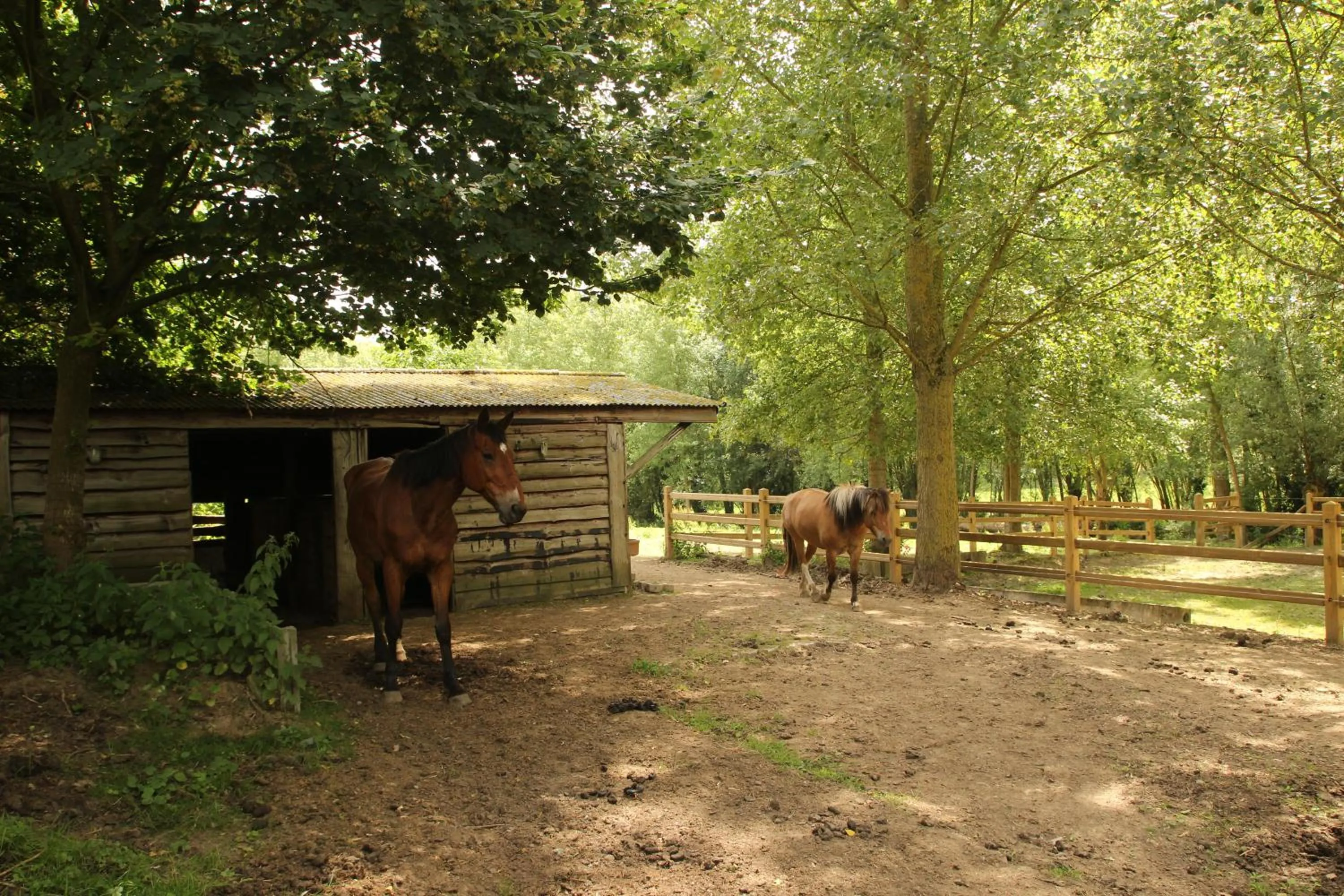 Property building in B&B Dotter 17