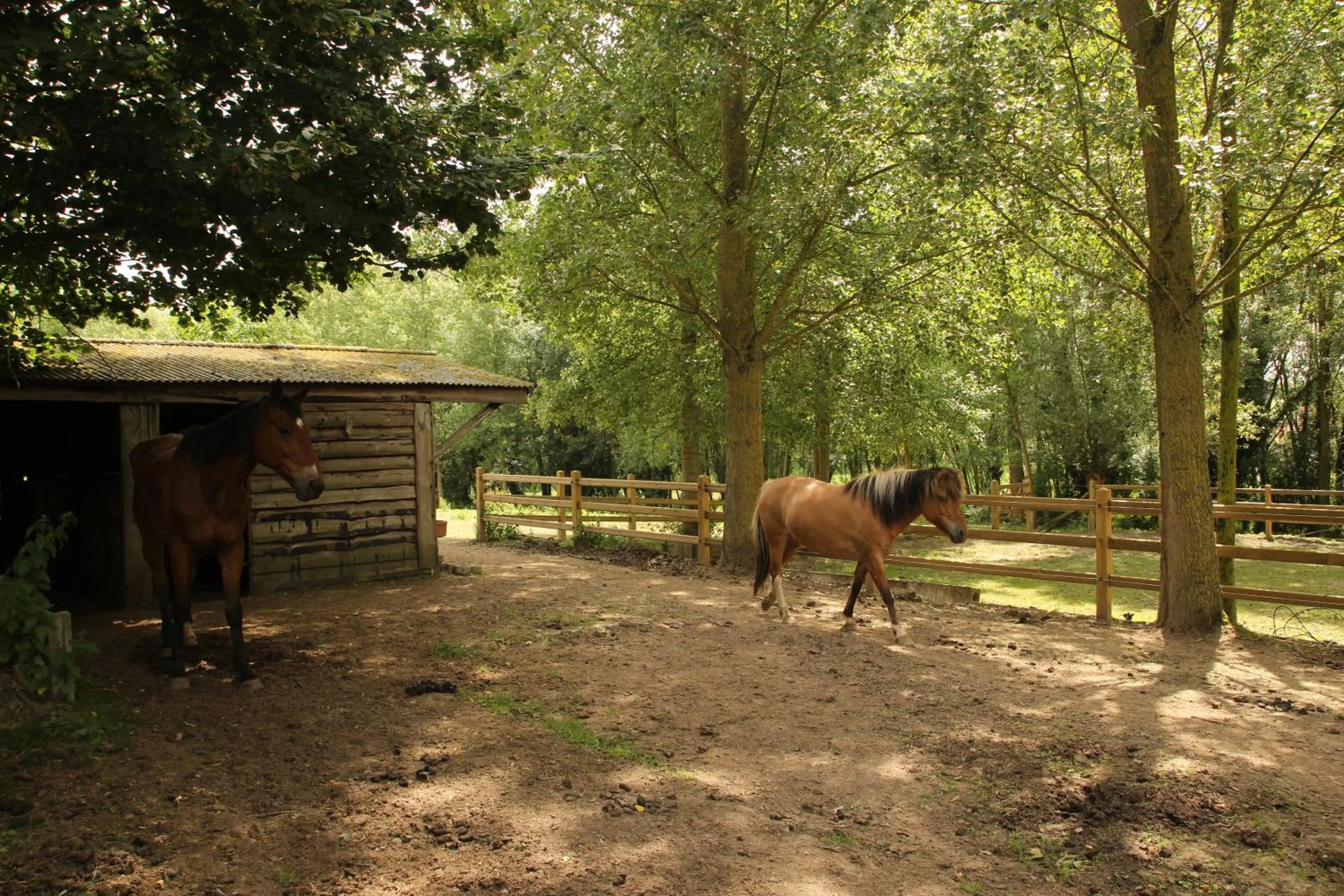 Property building in B&B Dotter 17