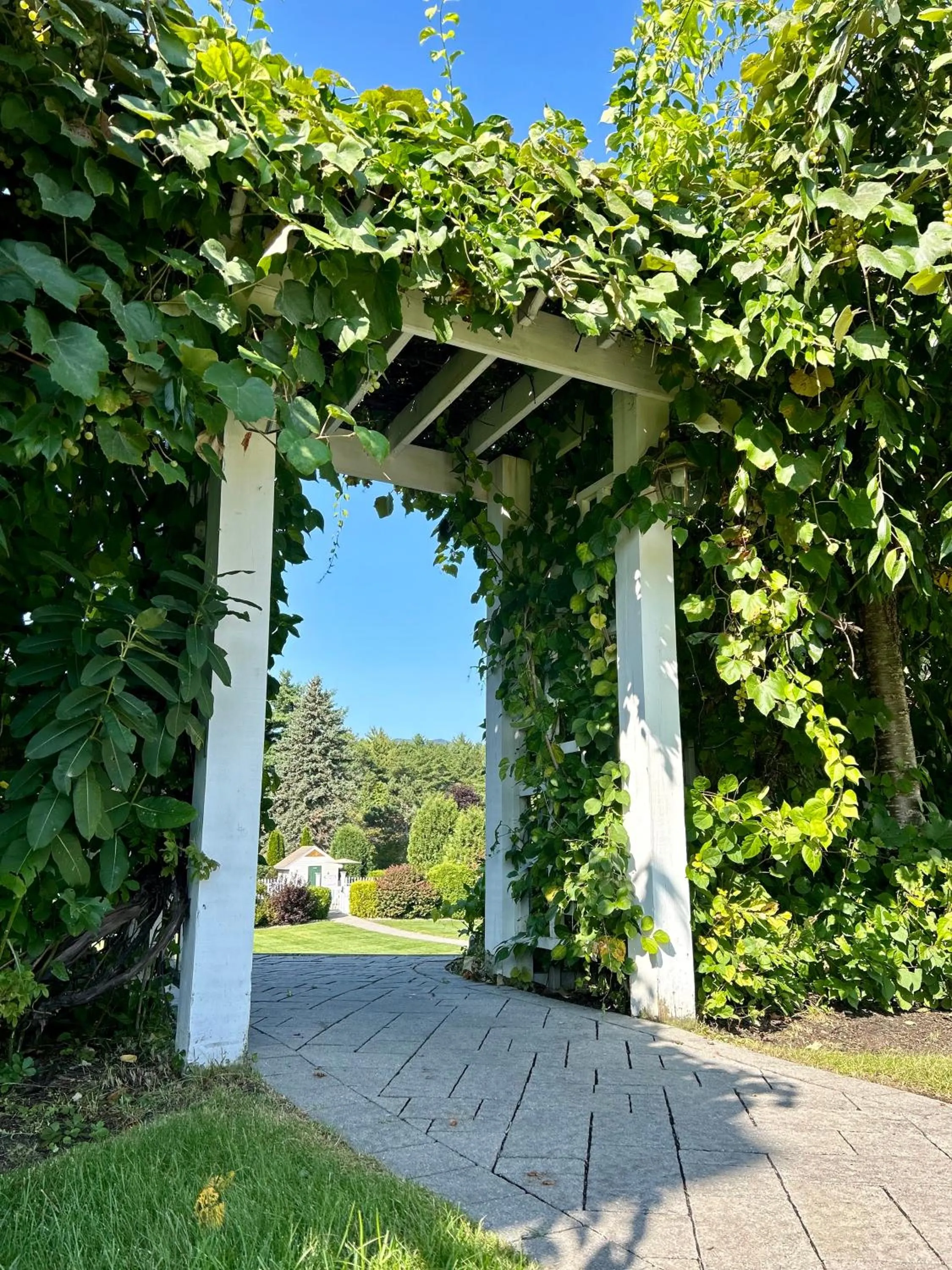 Garden in Golden Gables Inn