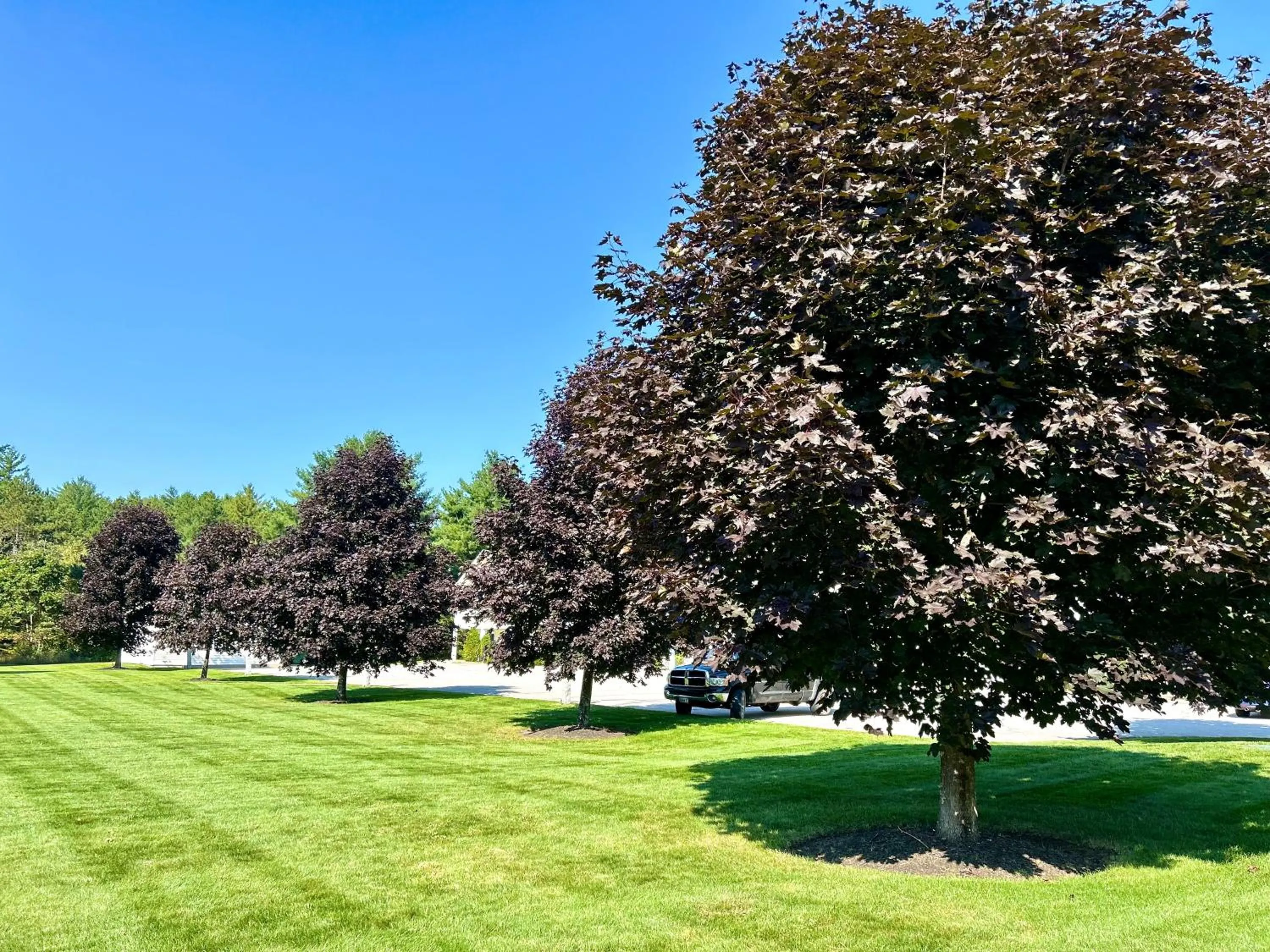 Day in Golden Gables Inn