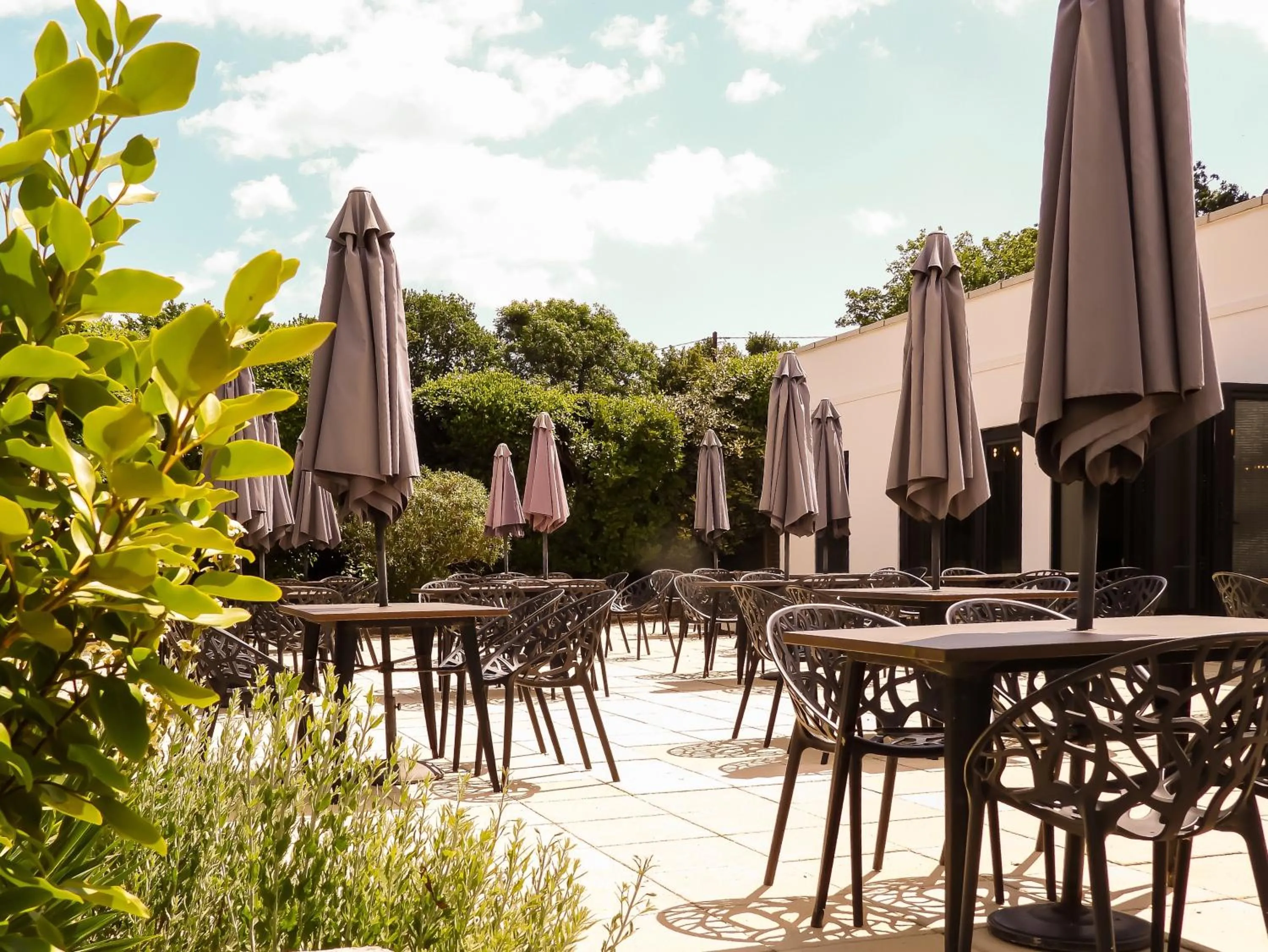 Patio in South Lawn Hotel