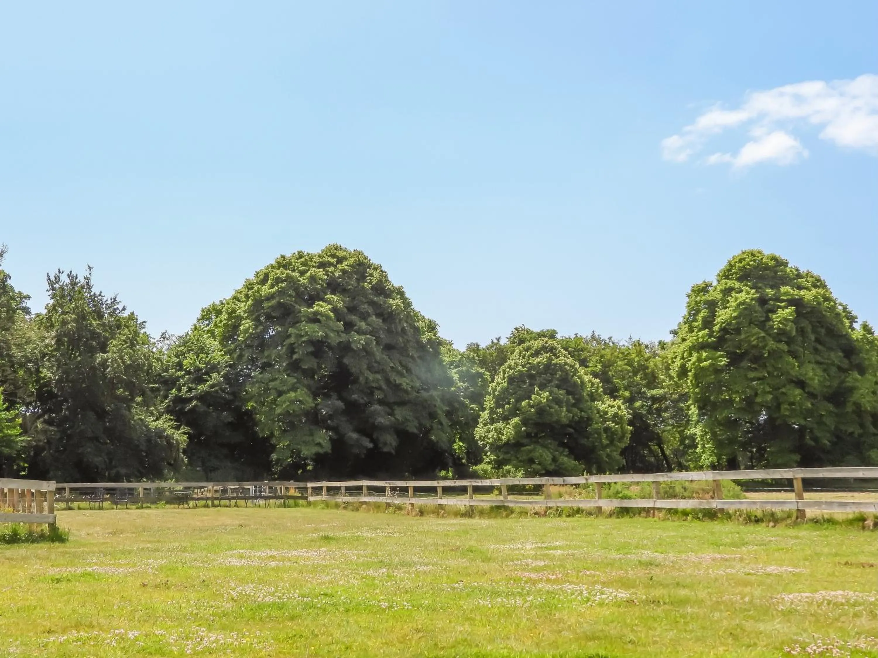 Natural landscape in South Lawn Hotel
