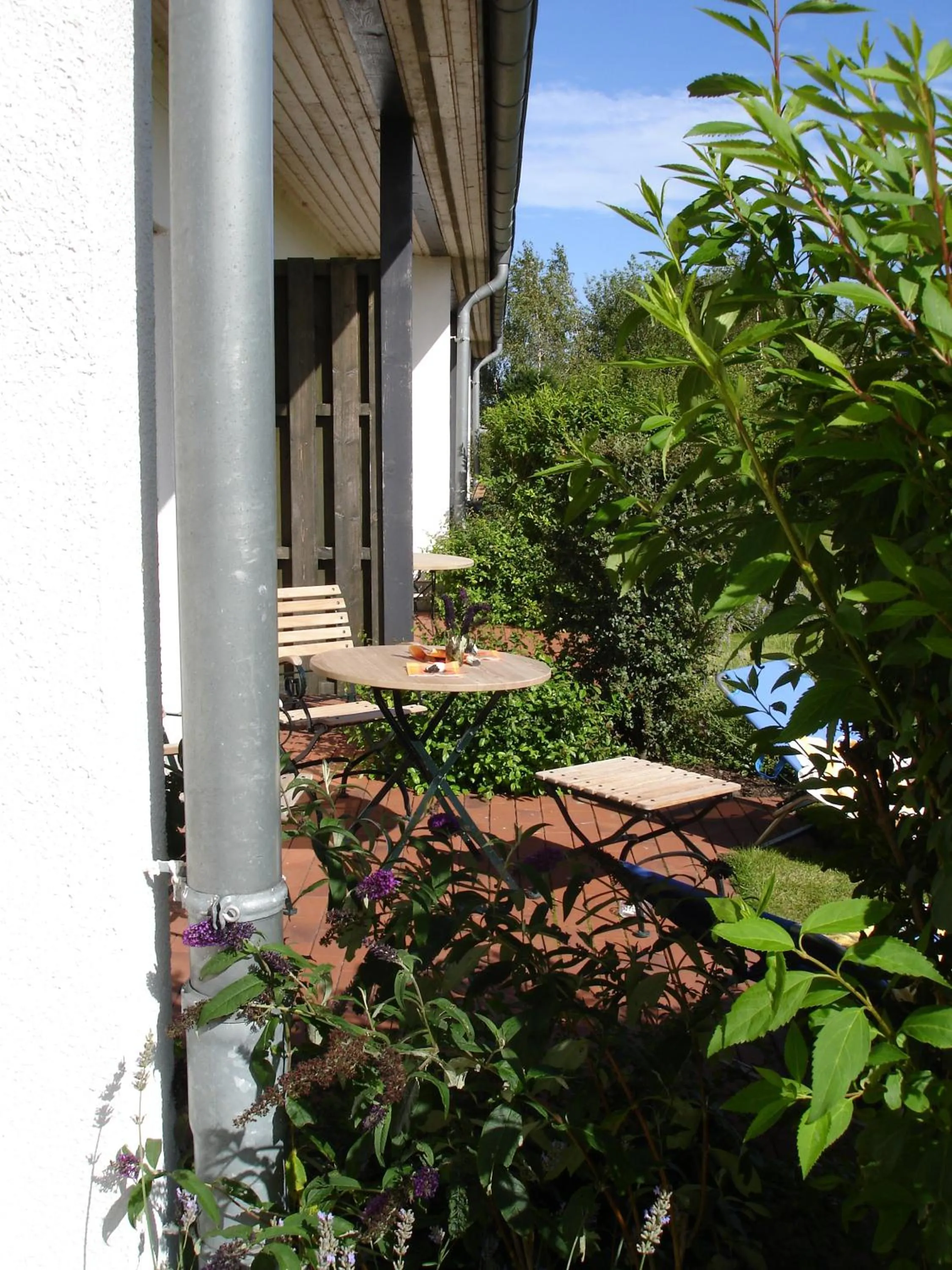 Summer in H.W.S. Hotel Der Wilde Schwan