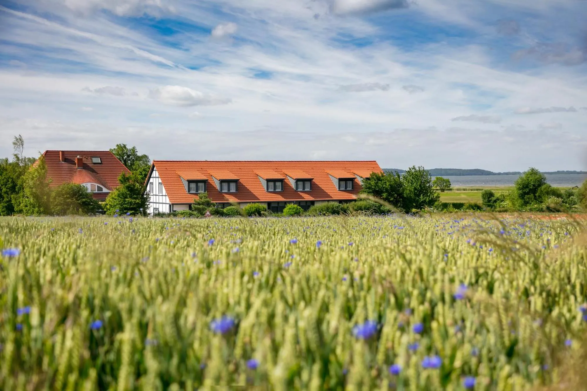 Facade/entrance in H.W.S. Hotel Der Wilde Schwan